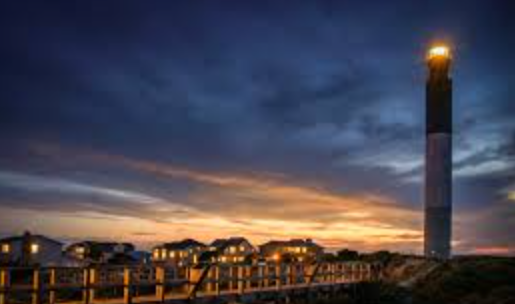 Why "Warm White" Fails: The Physics of 560nm Turtle-Friendly Lighting