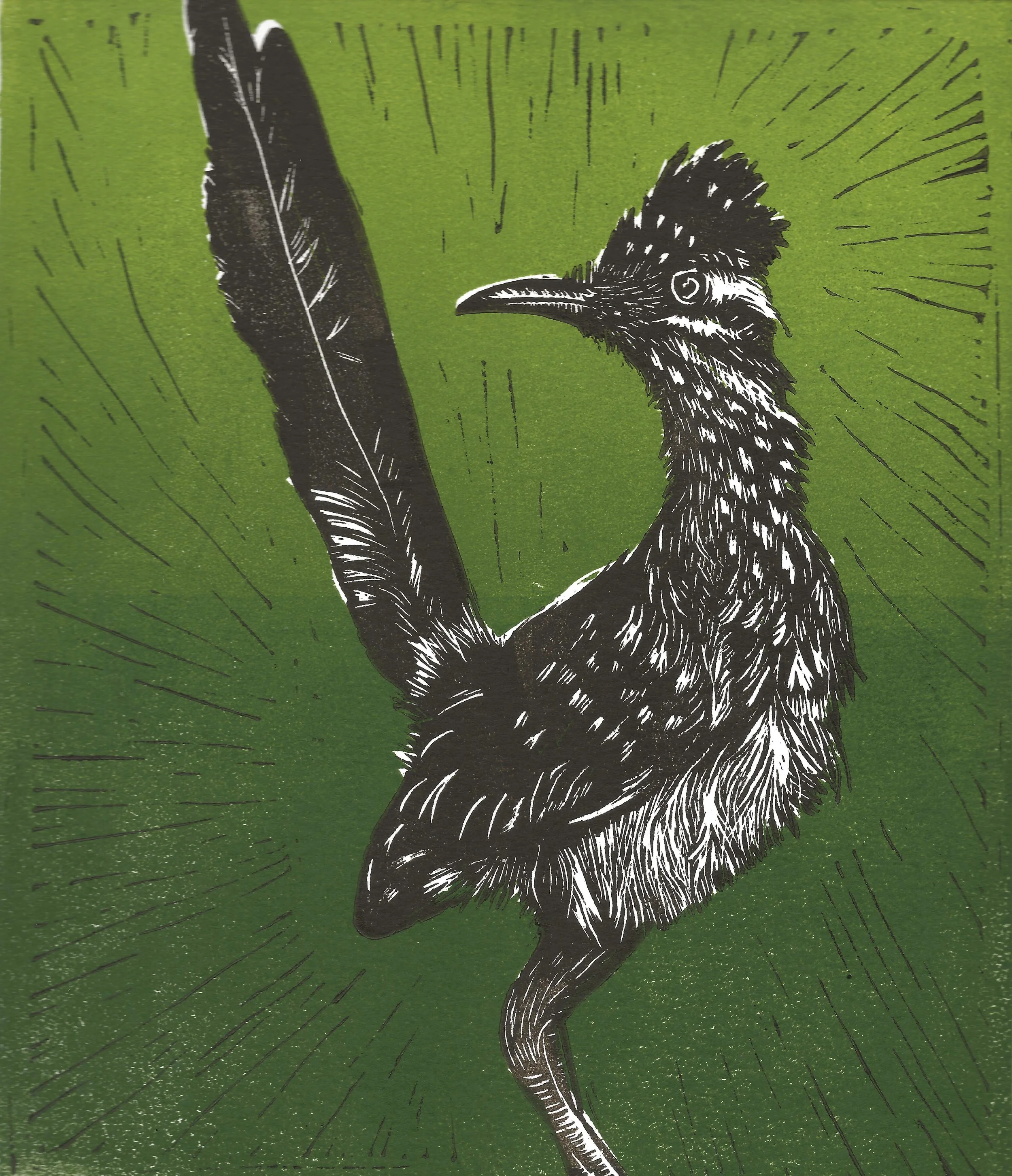 Roadrunner Greeting Card