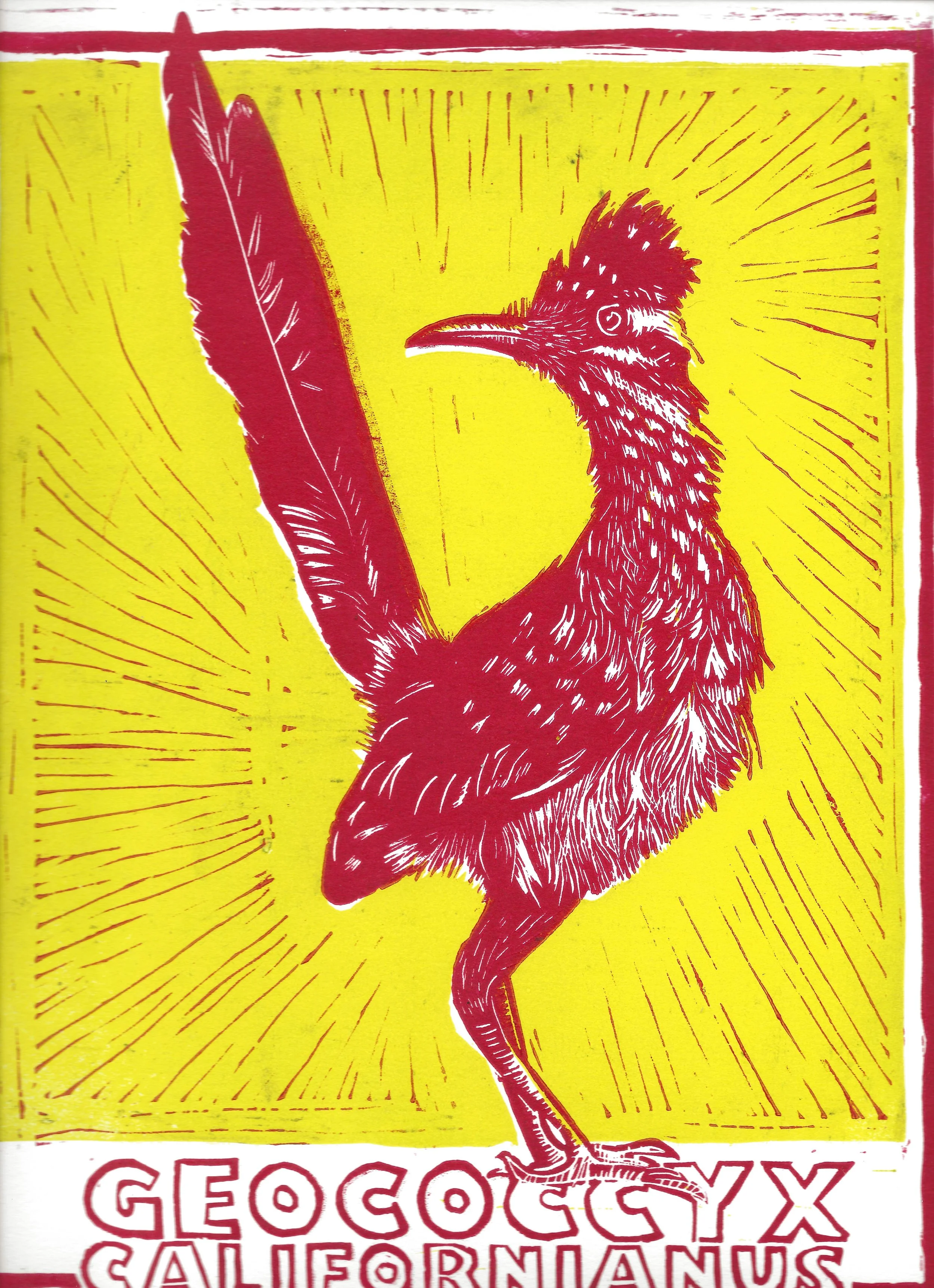 Red and yellow roadrunner.jpg