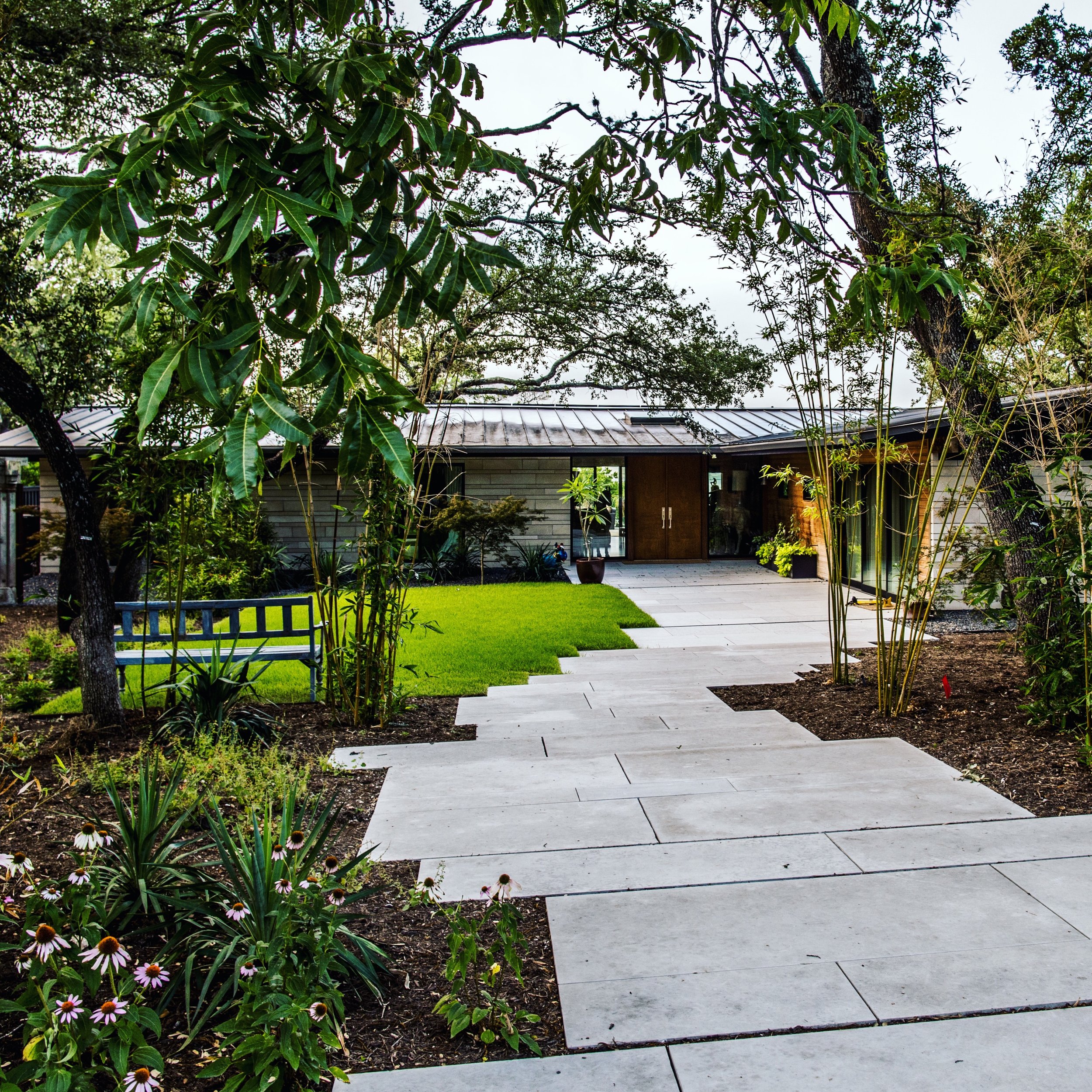 A modern house surrounded by a landscaped garden with a paved walkway, green lawn, trees, and flowering plants.