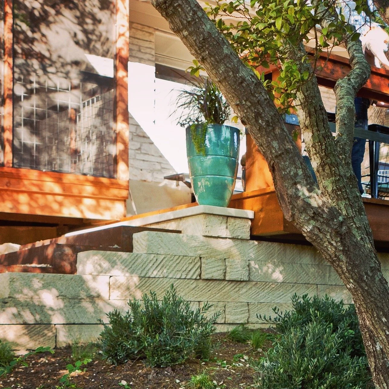 A garden view showing a stone retaining wall with a large green potted plant and a tree trunk in the foreground. There's a house with a porch in the background, partially obscured by the tree.
