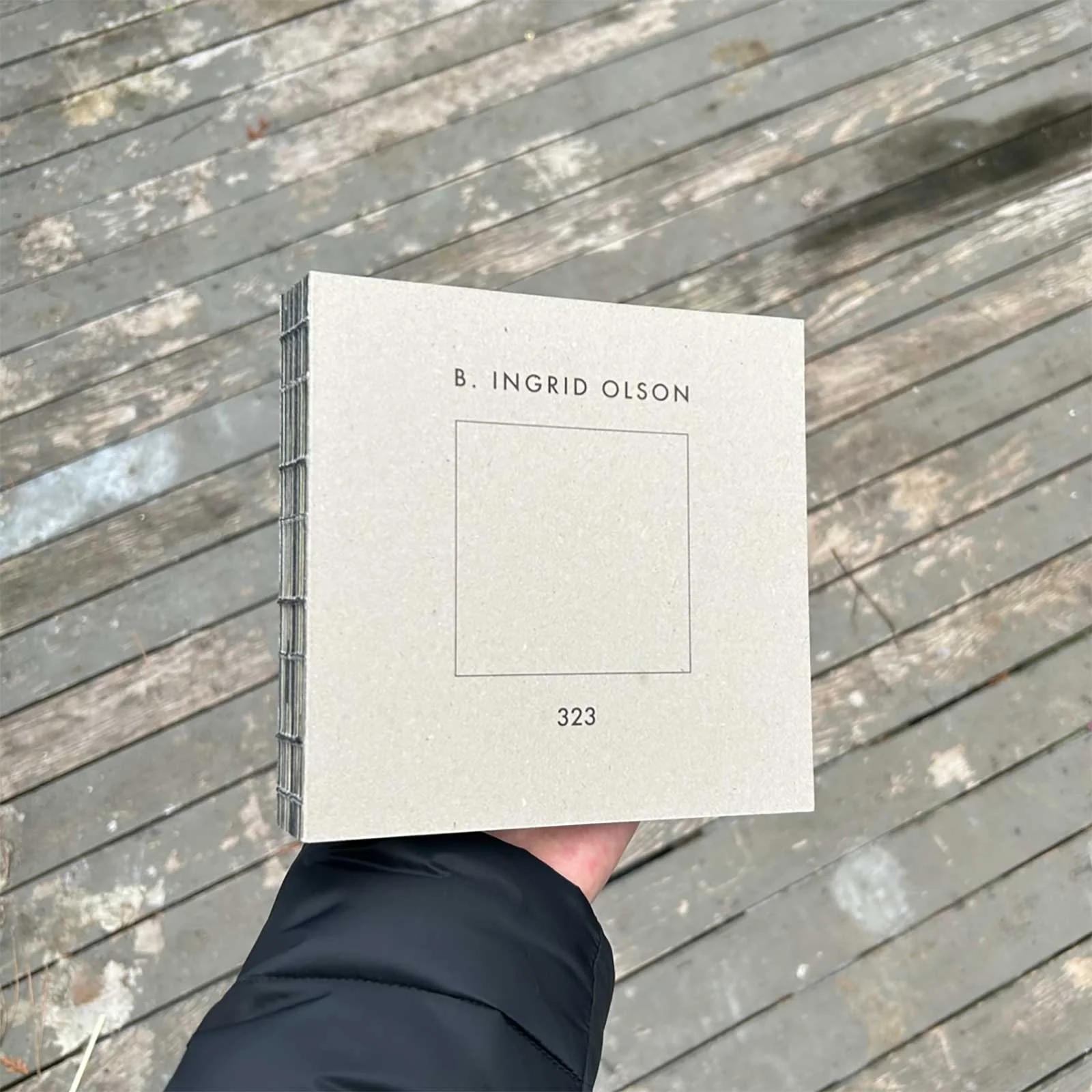 bingridolson-cover.jpg