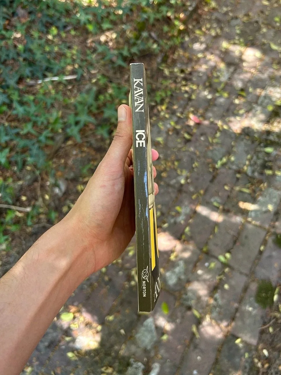 ice-spine.jpg
