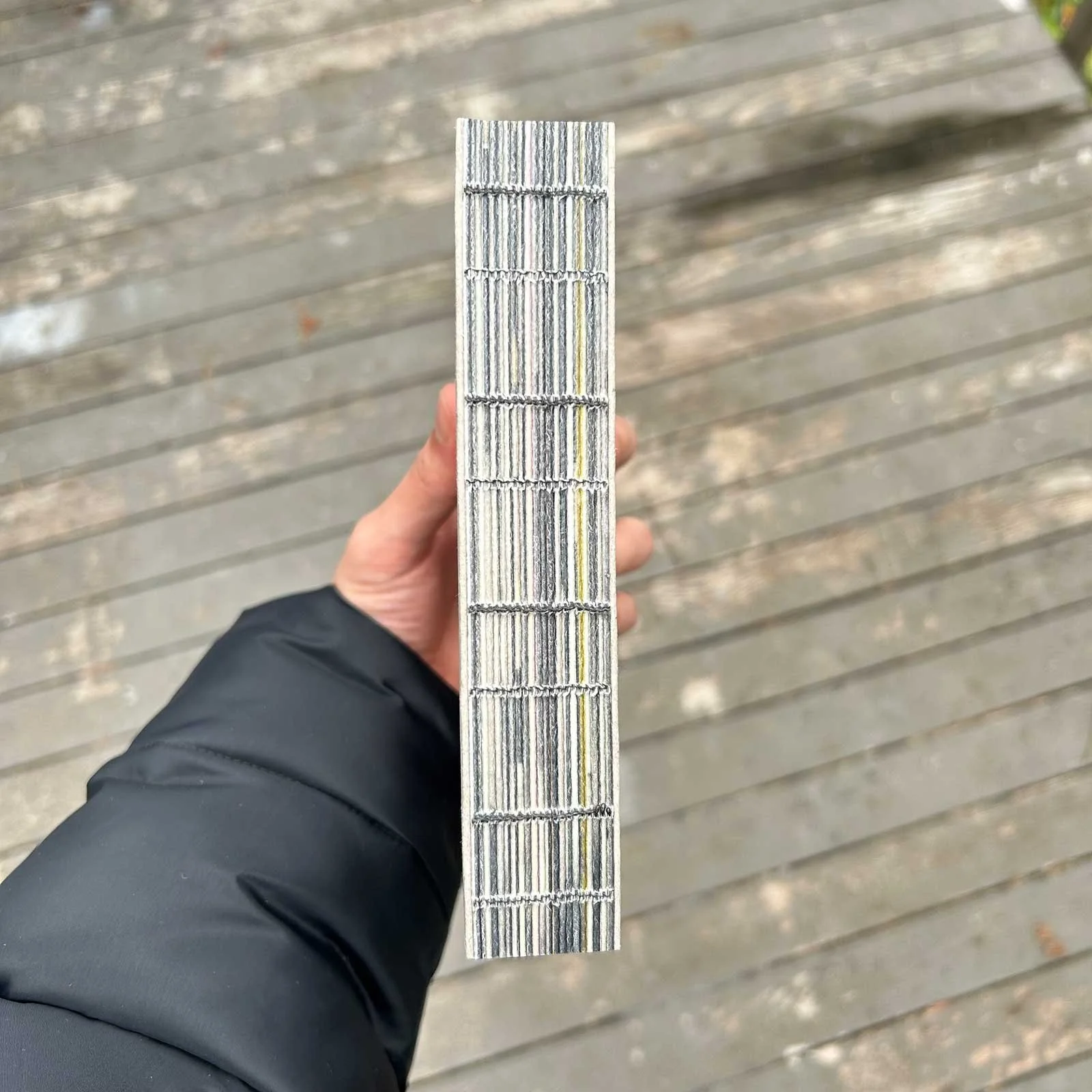 bingridolson-spine.jpg
