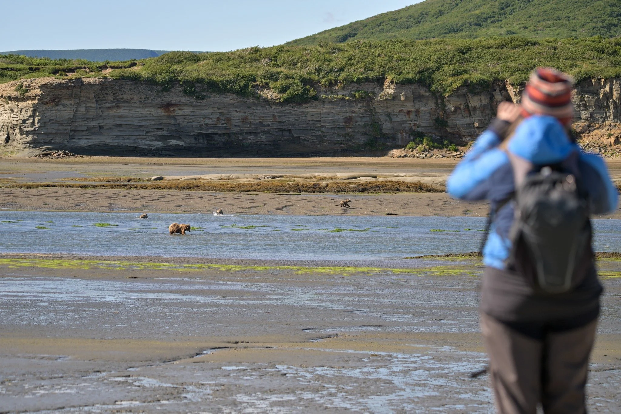 Get a front row view to one of nature’s greatest moments π»β¨ Being a guest on a coast brown bear viewing tour is nothing short of magical — wild bears, breathtaking views, and unforgettable memories.
www.cookinletadventures.com
#CookInle