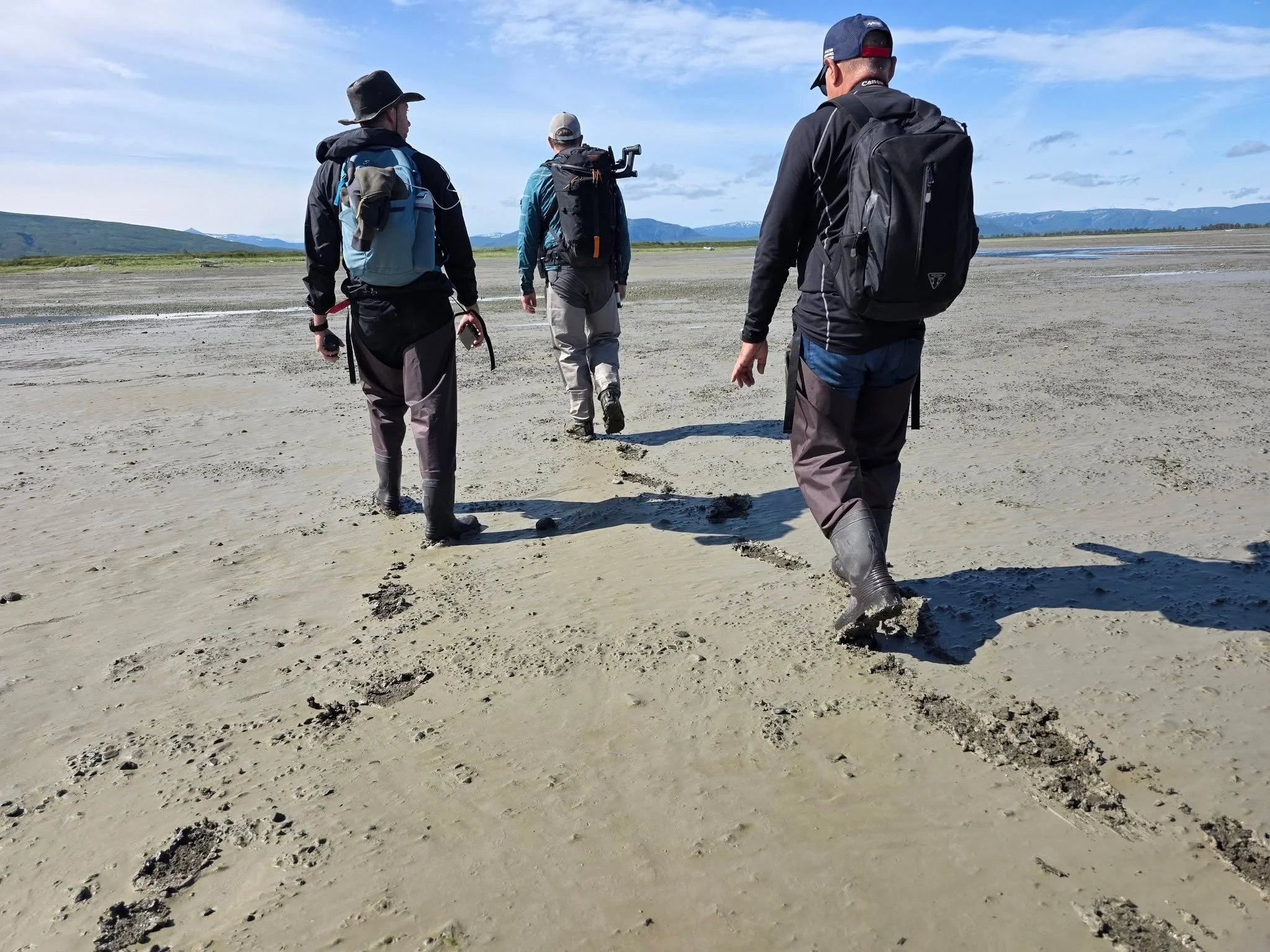 π₯ΎπΎ On our bear tours, you'll explore stunning stretches of national park land on foot, breathing in the wild air, feeling the earth beneath your boots, and experiencing nature up close. Every step tells a story. We provide the waders, so come join