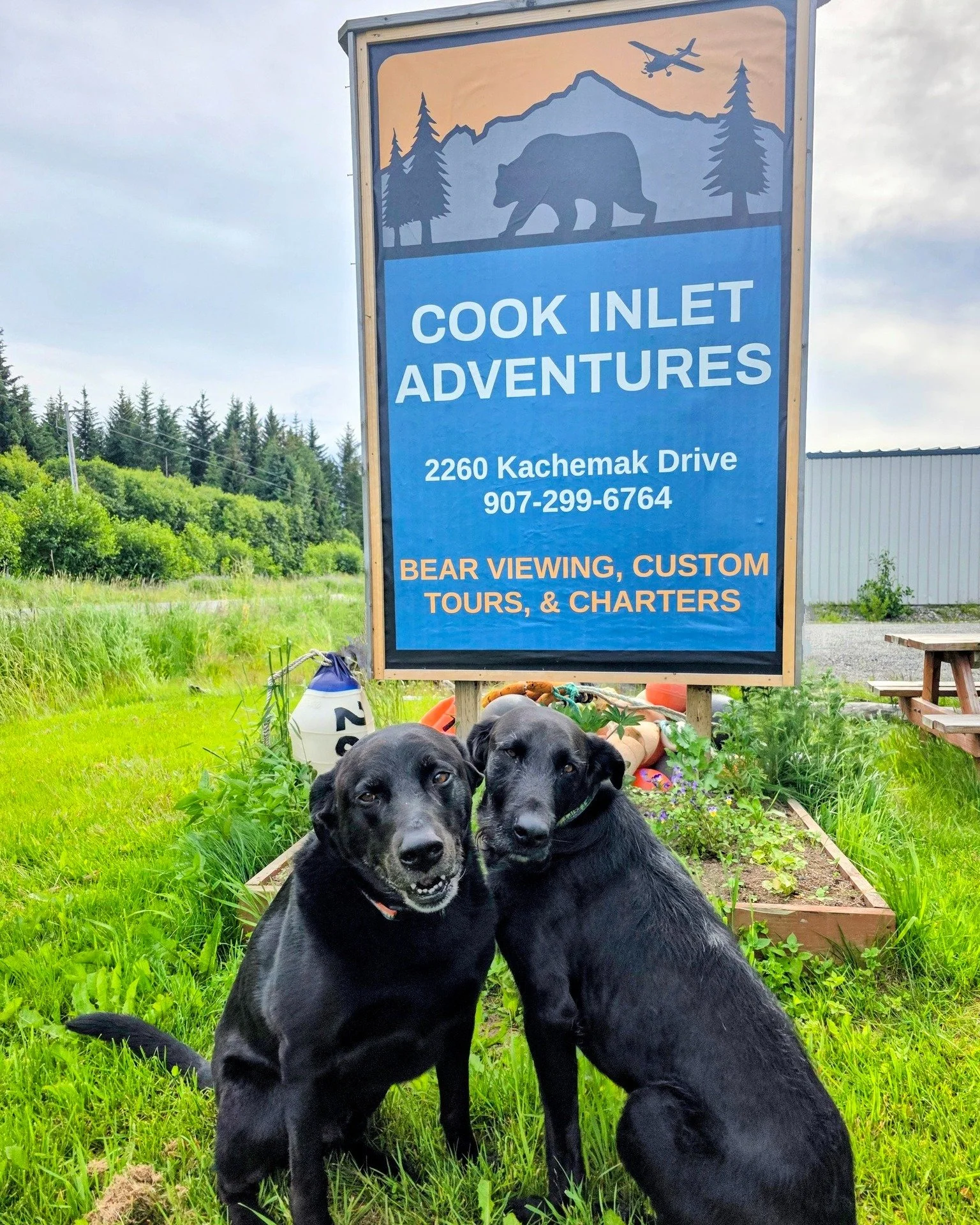 Happy National Dog Day! From the Cook Inlet Adventures greeter pups Wilbur and Cole! πΎπΎ