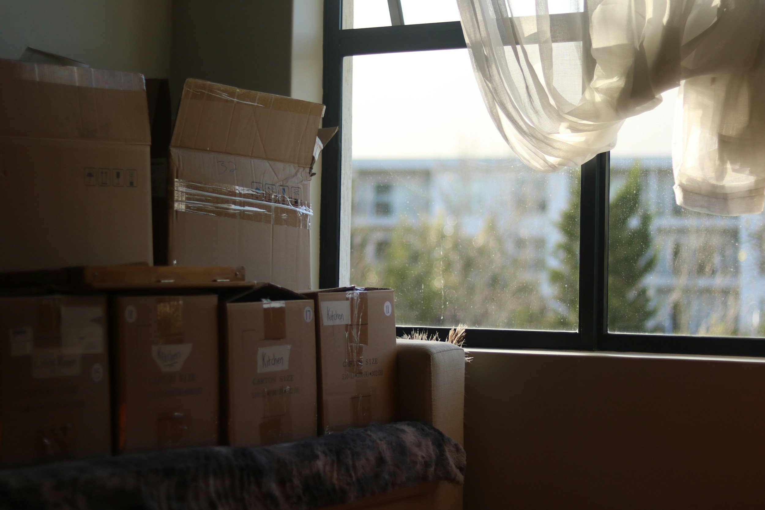Waste-free moving & decluttering