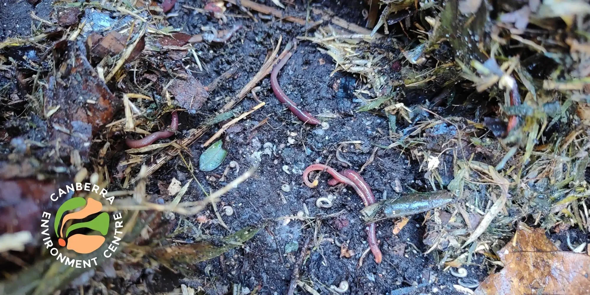 Strengthening your Soil Microbiome