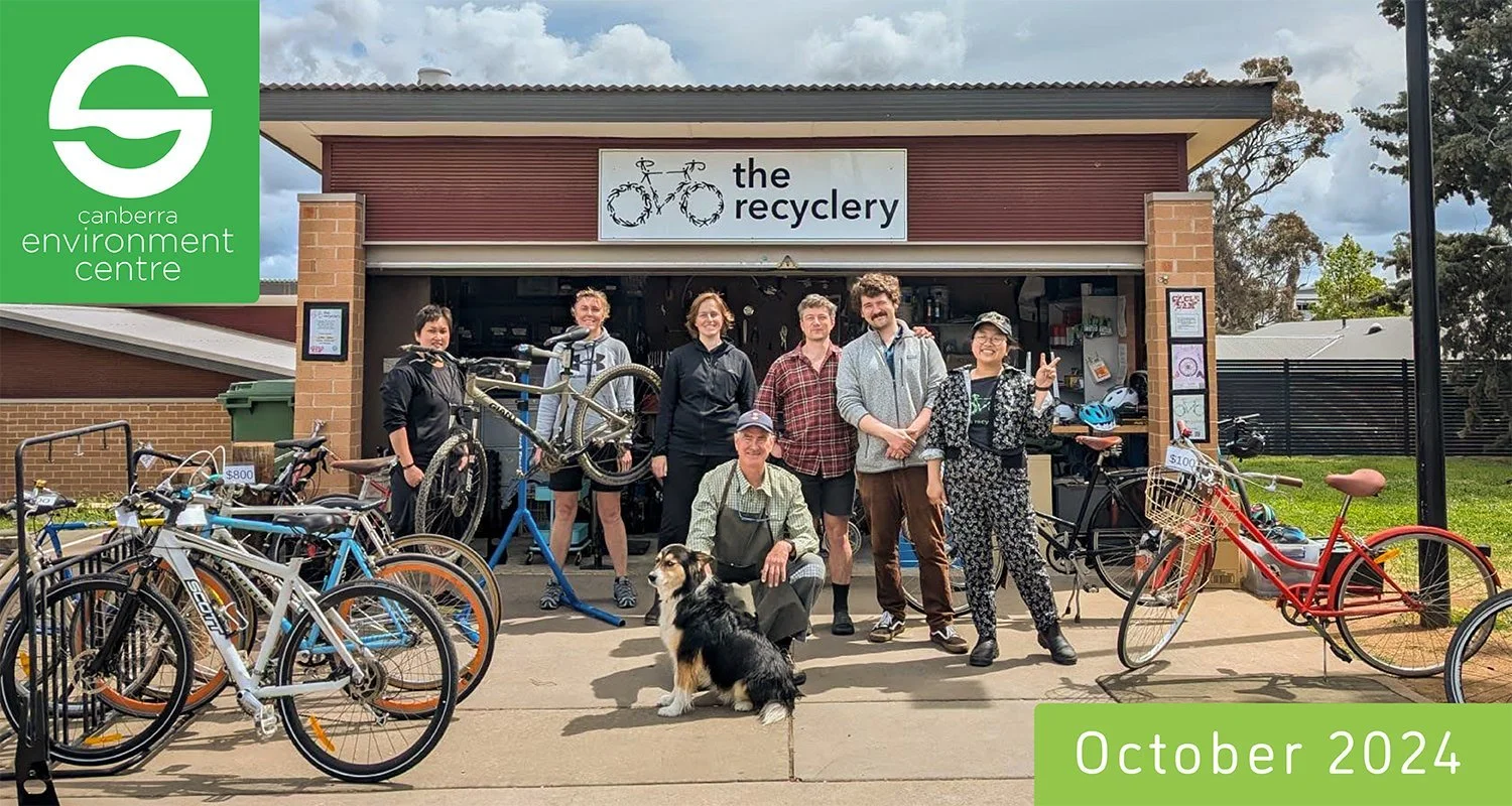 Enews Update - October 2024