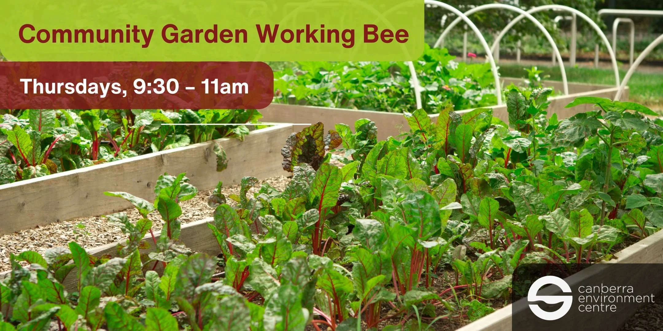 Community Garden - Working Bees!