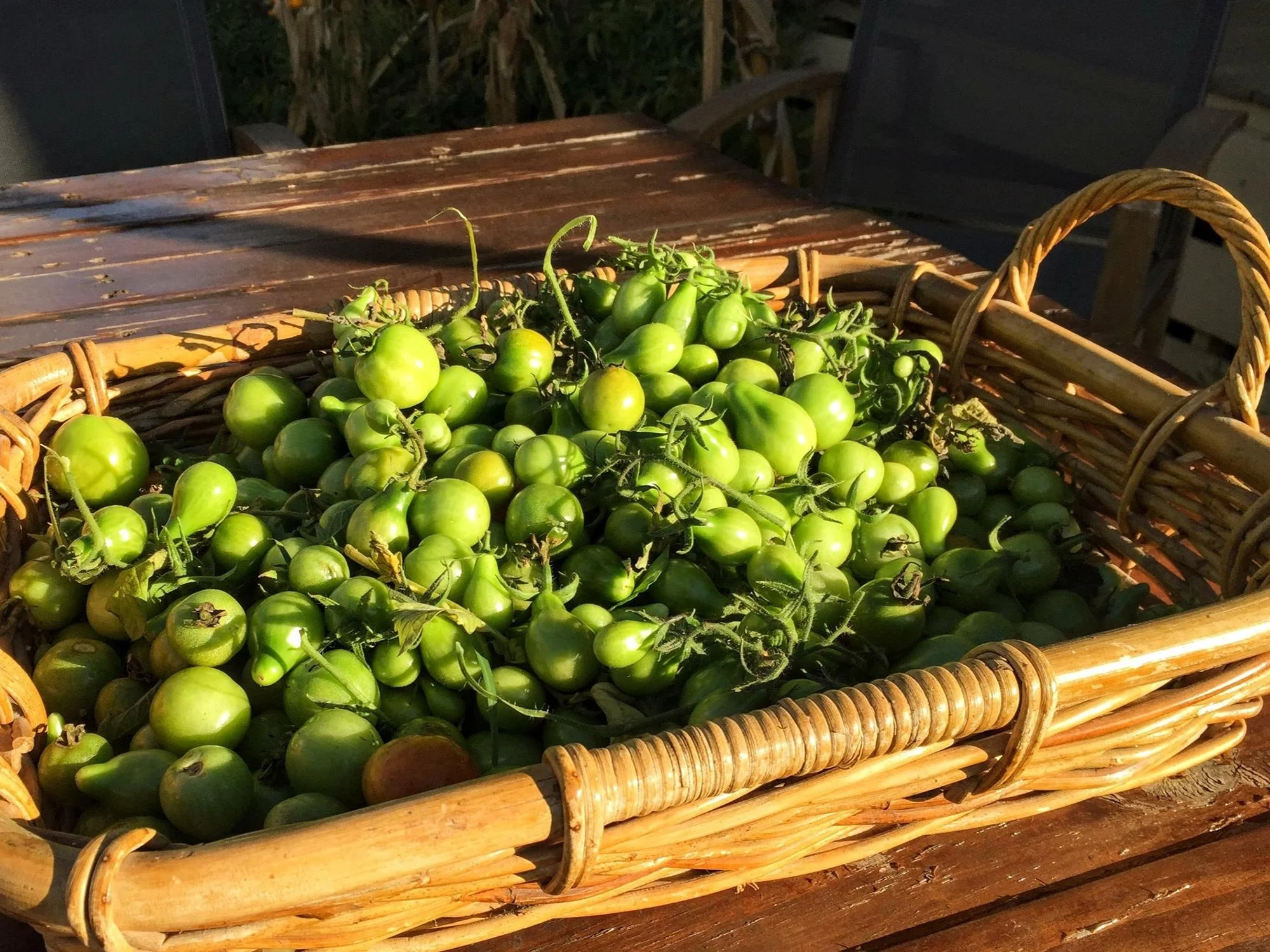 What to do with green tomatoes