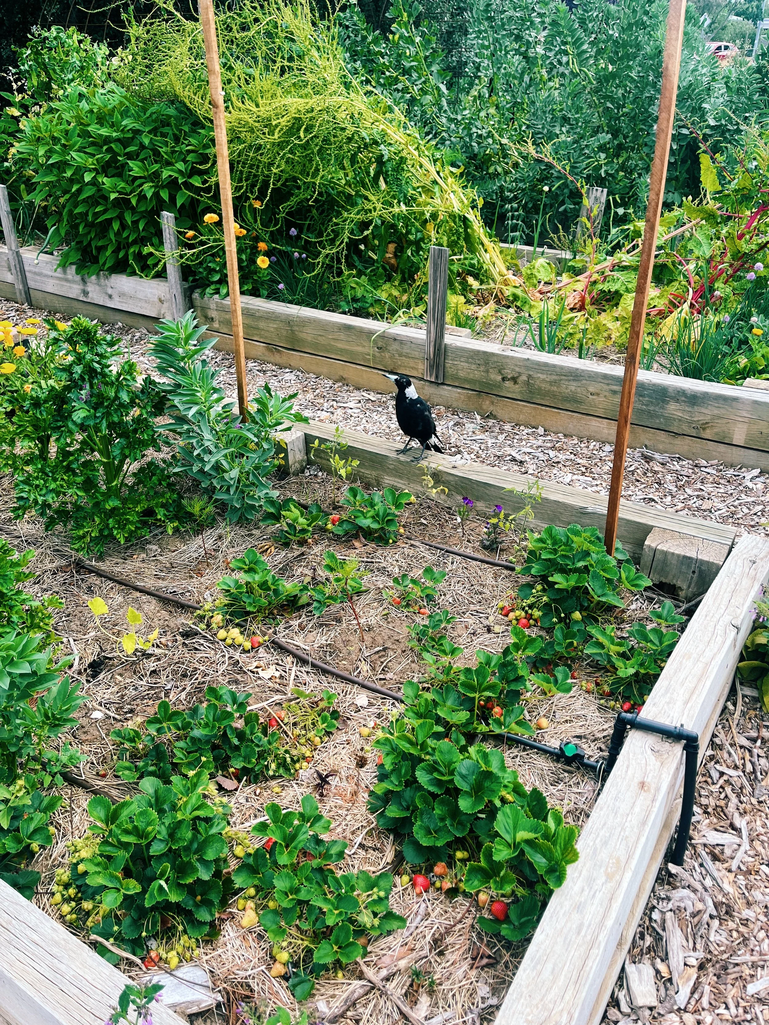 IMG_8516_VSCO (1).JPEG