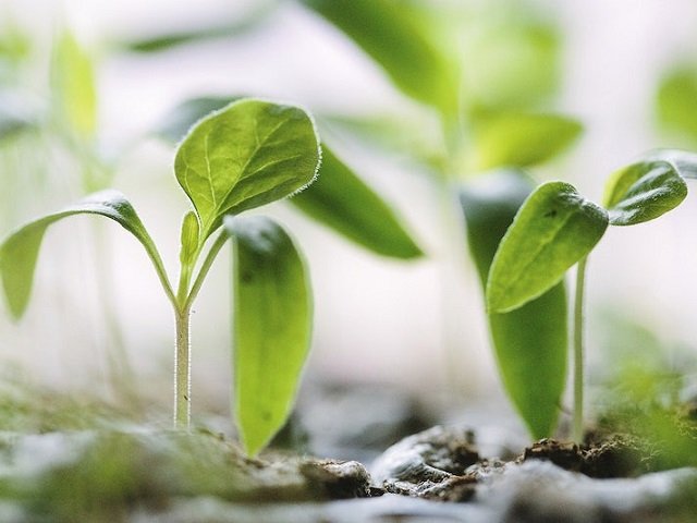 Around Town: March Edition 