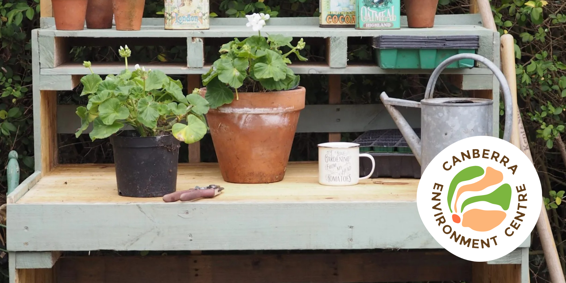 POTTING BENCH BUILDING