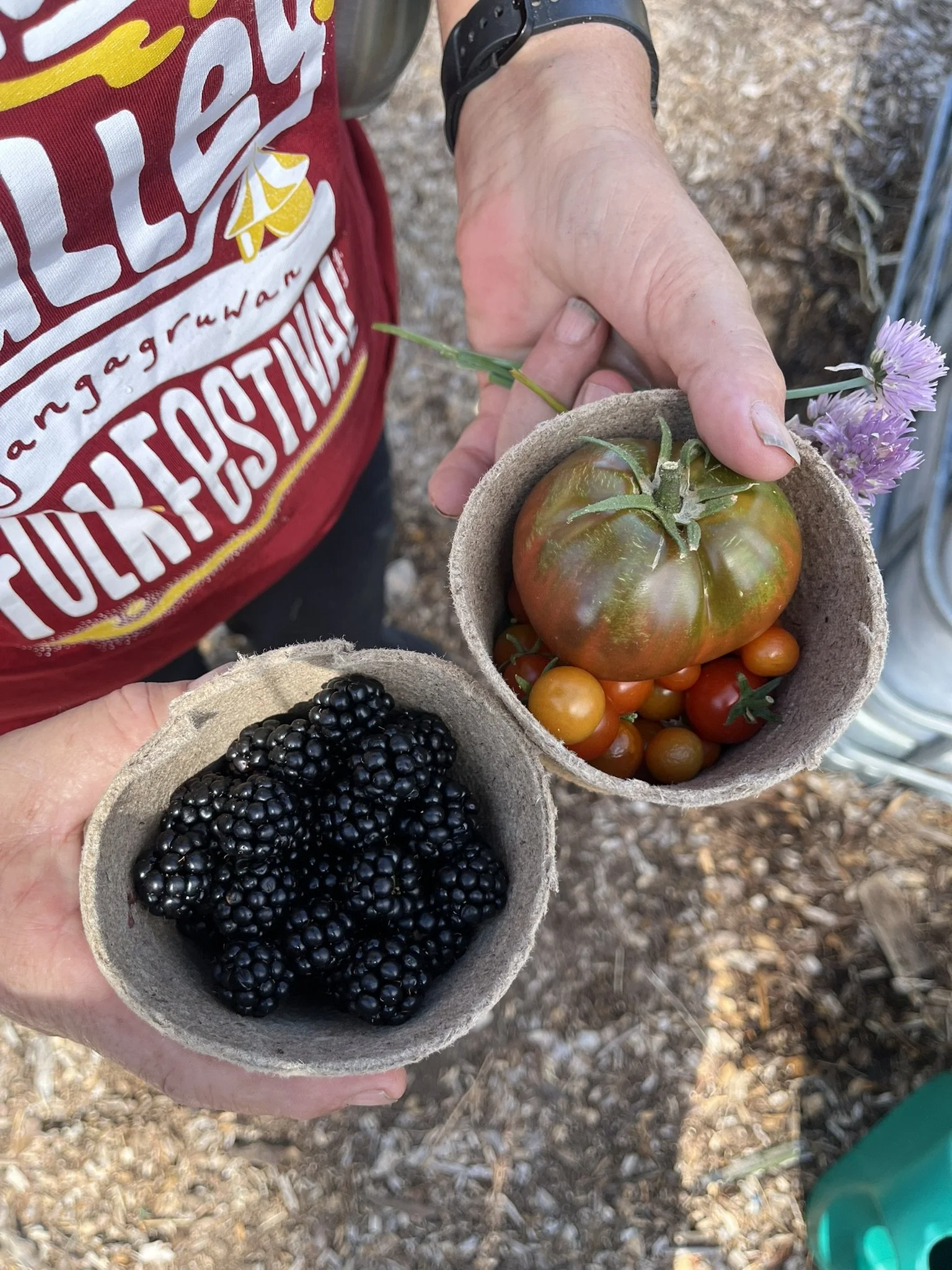 Garden Update - February