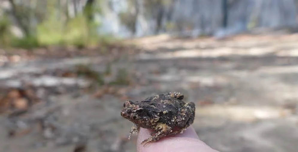 The Scoop -March 2026