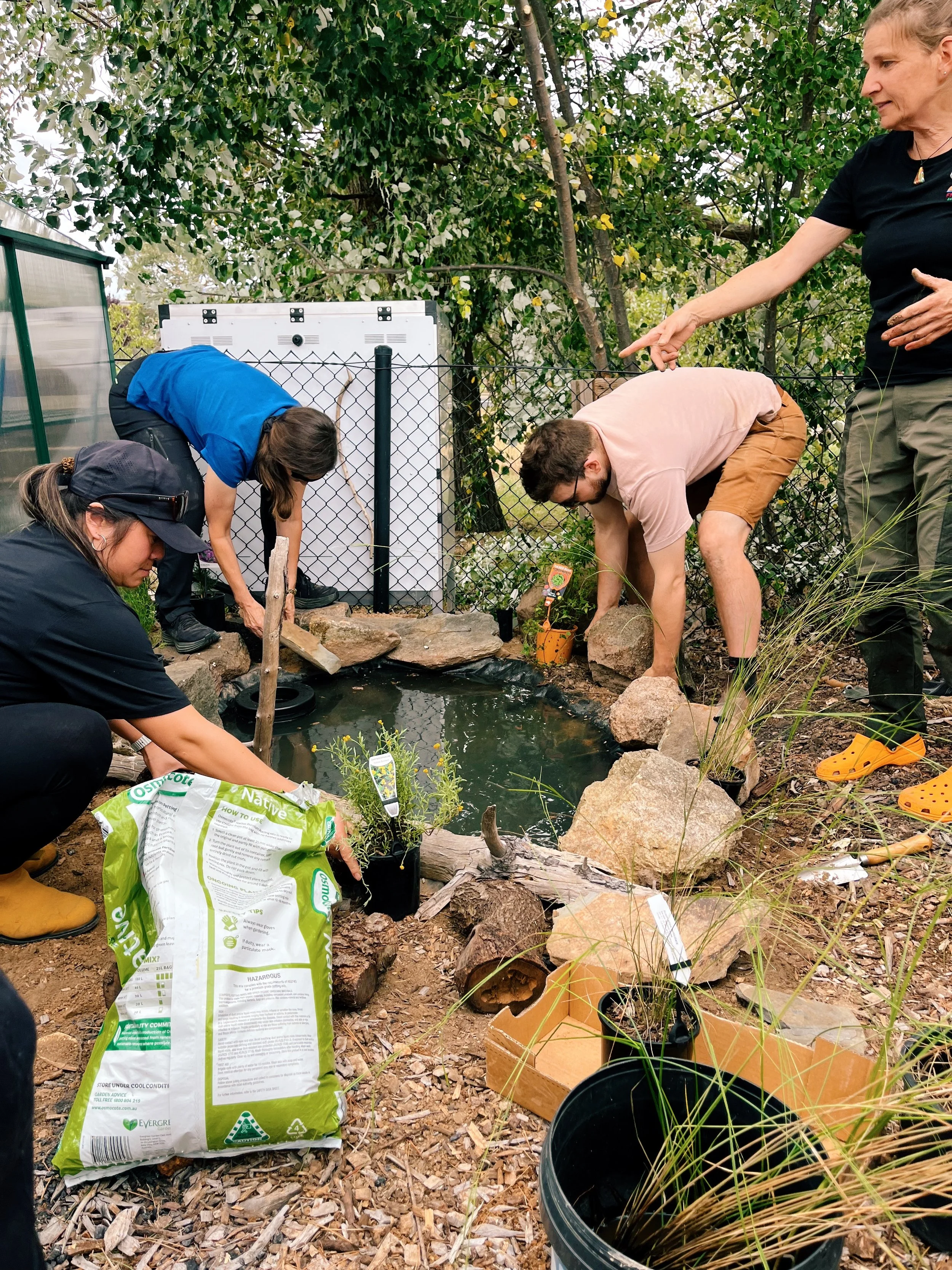Garden Update - March