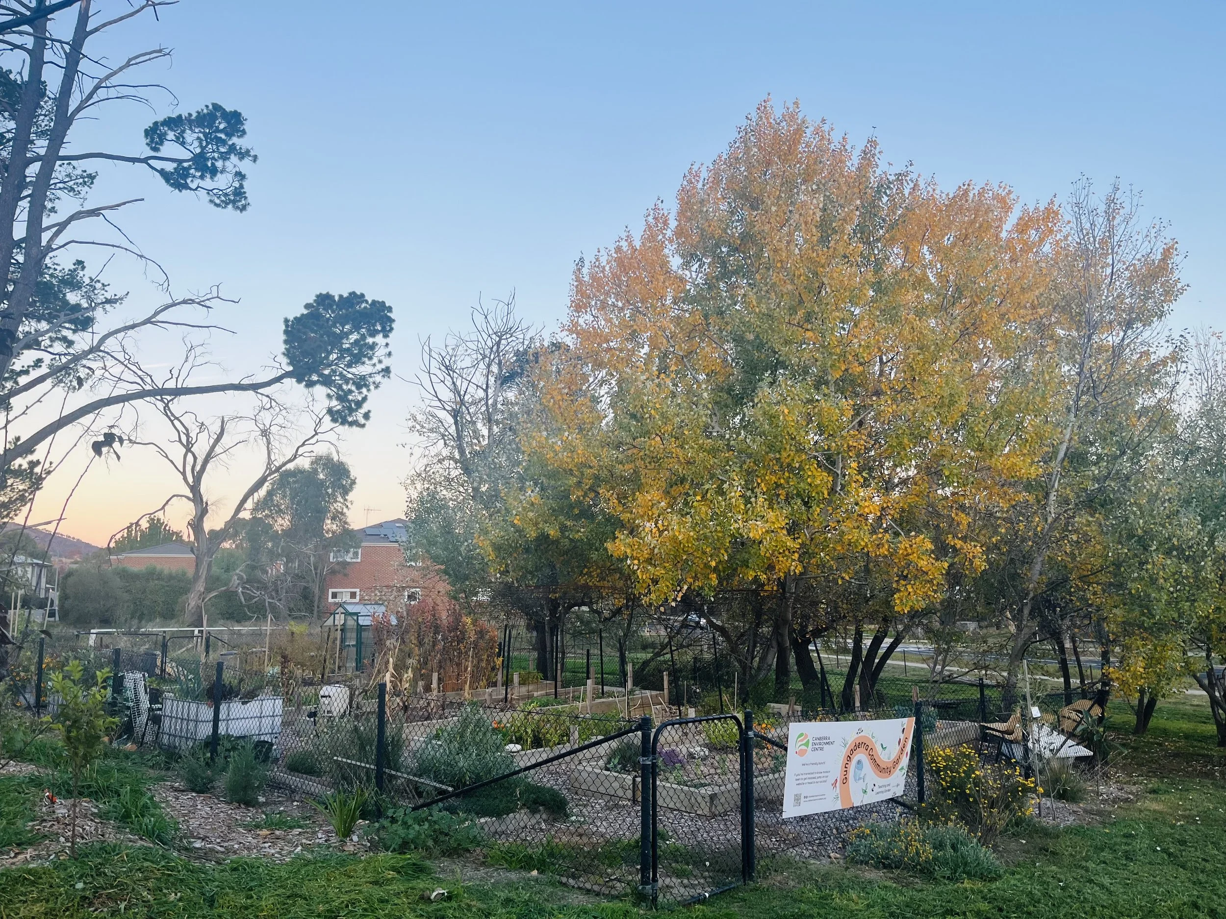 The Scoop - May 2026