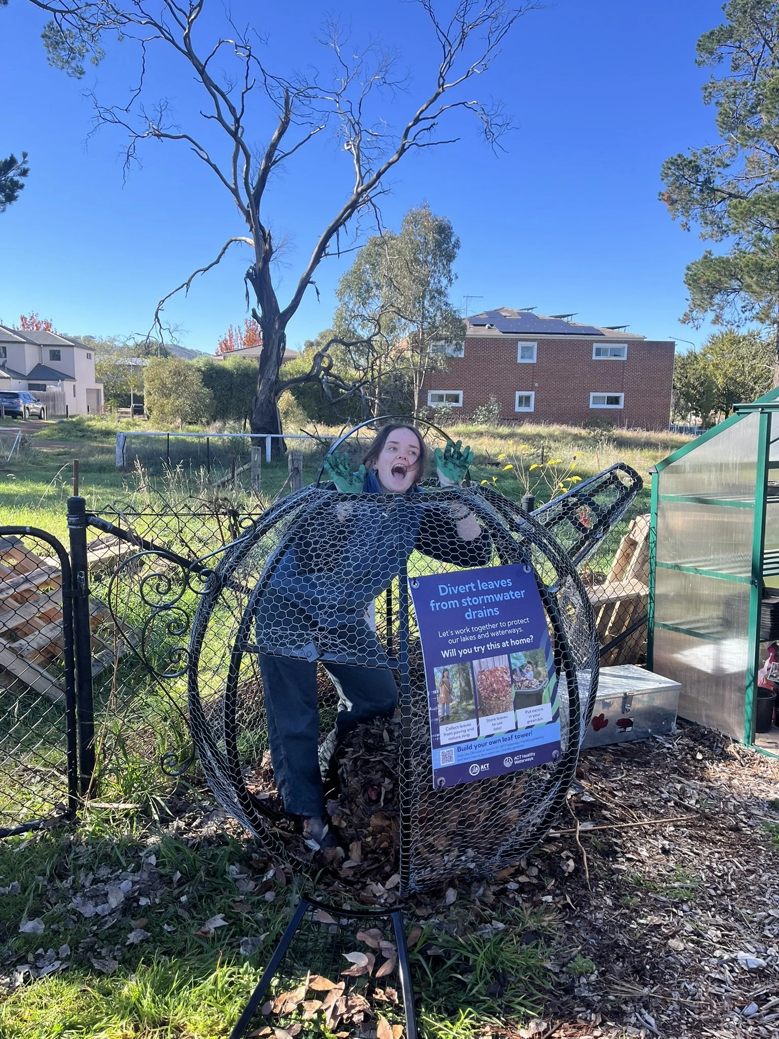 Garden Update — June