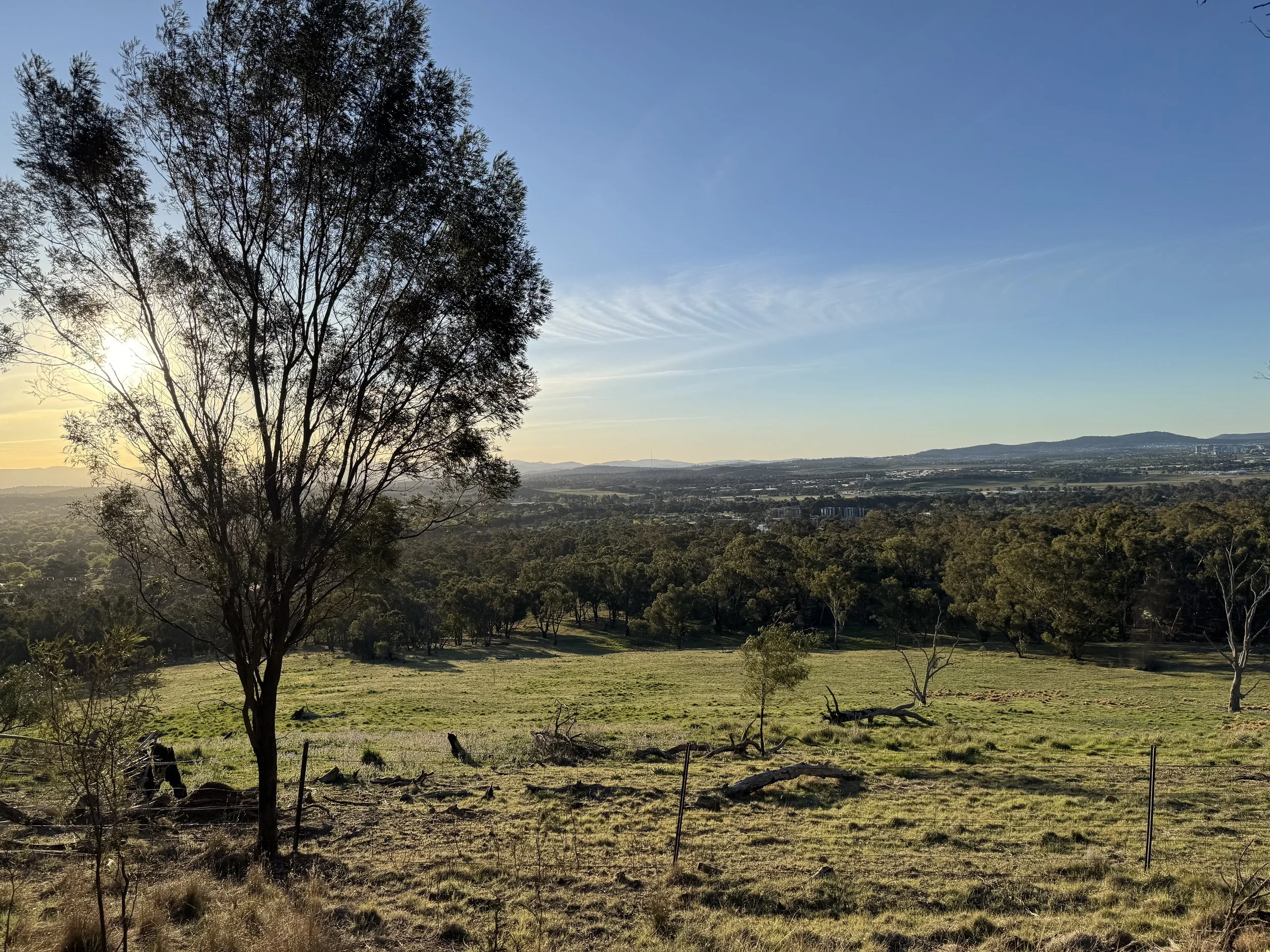 Around Town — June 