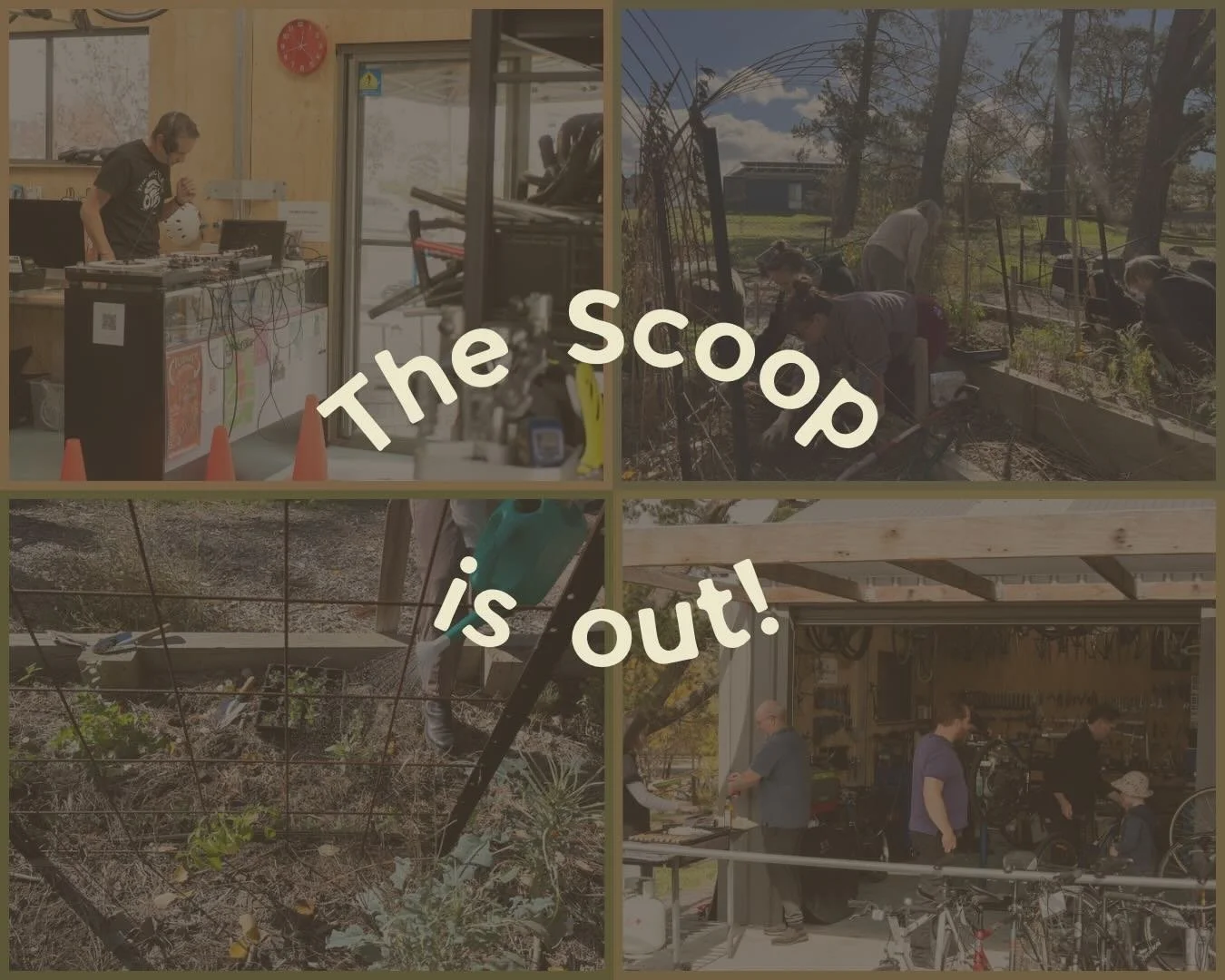 Our monthly e-newsletter is out! Check the link in bio to read it!