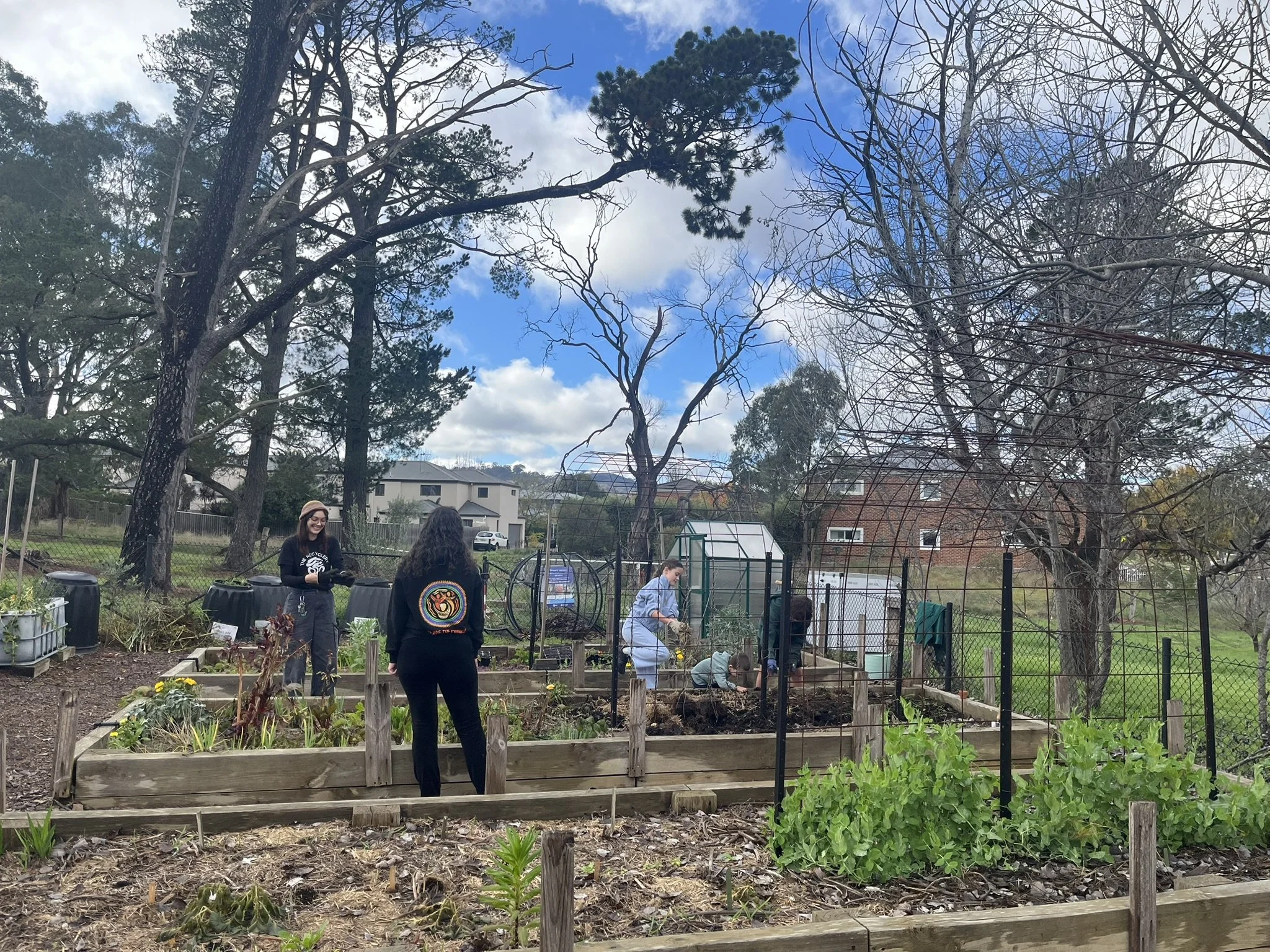 Garden Update — July