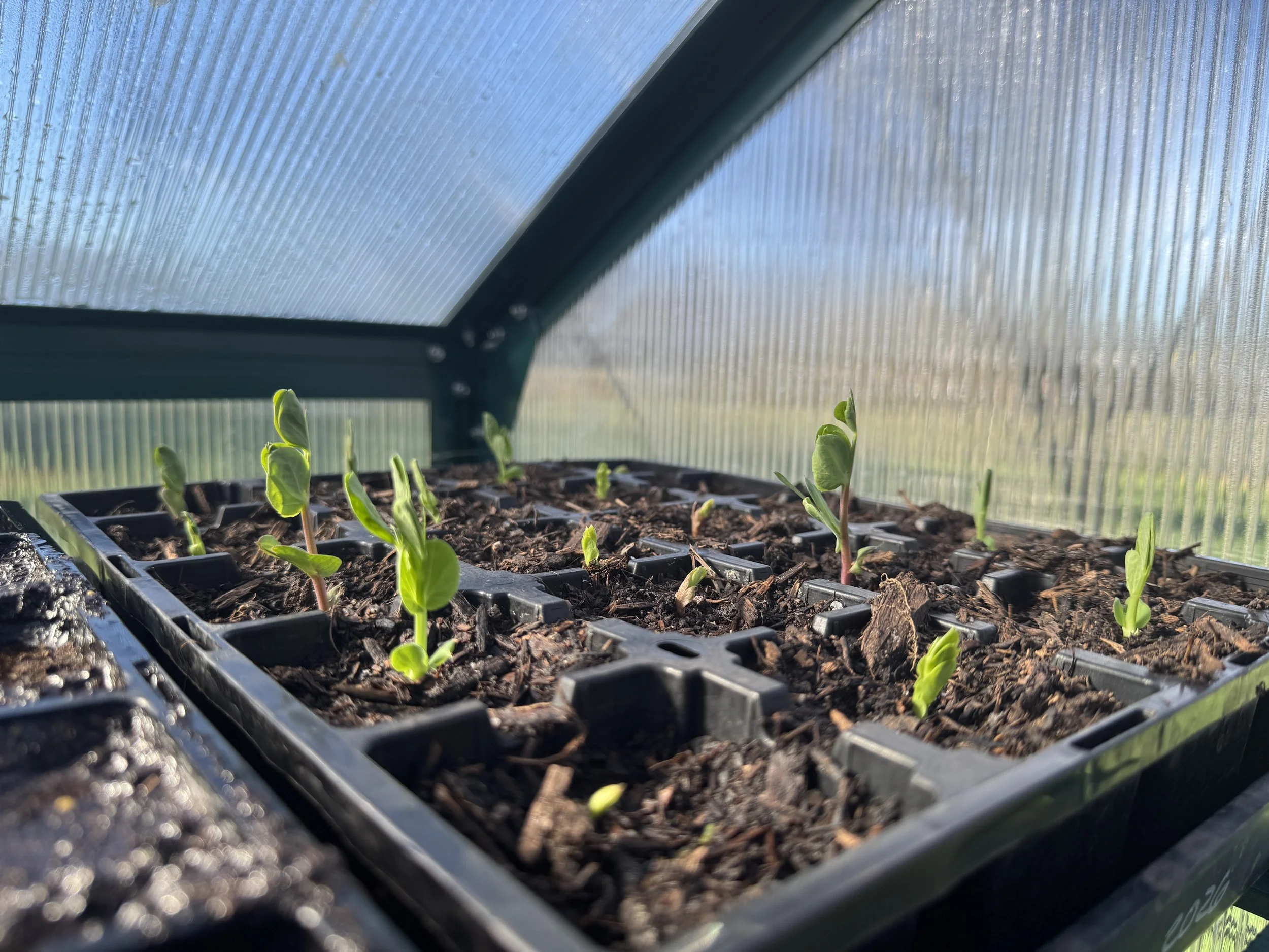 One Action You Can Take — July