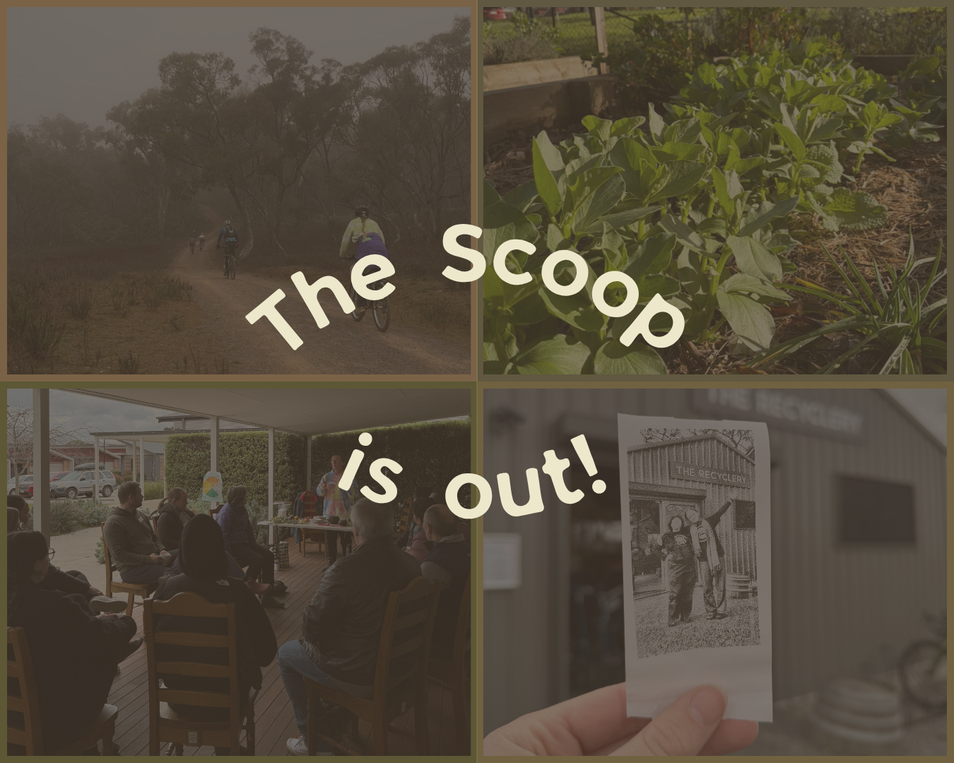 The Scoop Preview — August