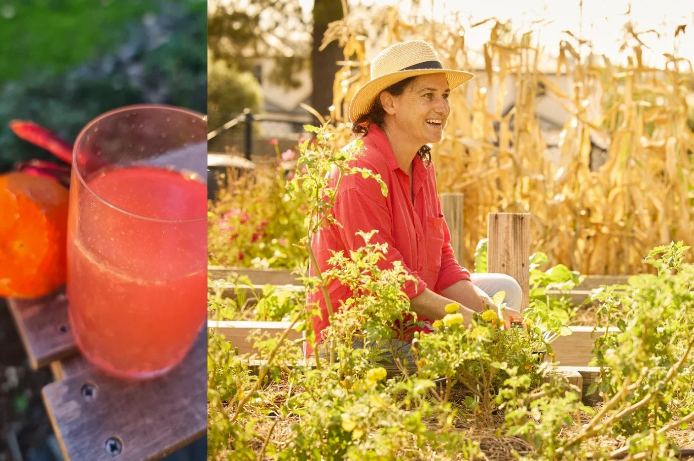 intro to Fermented drink brewing