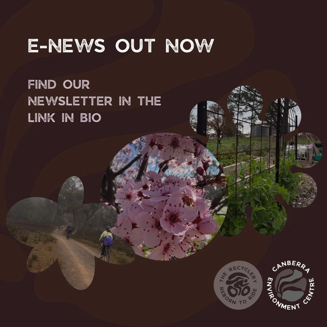 This months newsletter is now out! Click the link in bio to enjoy!