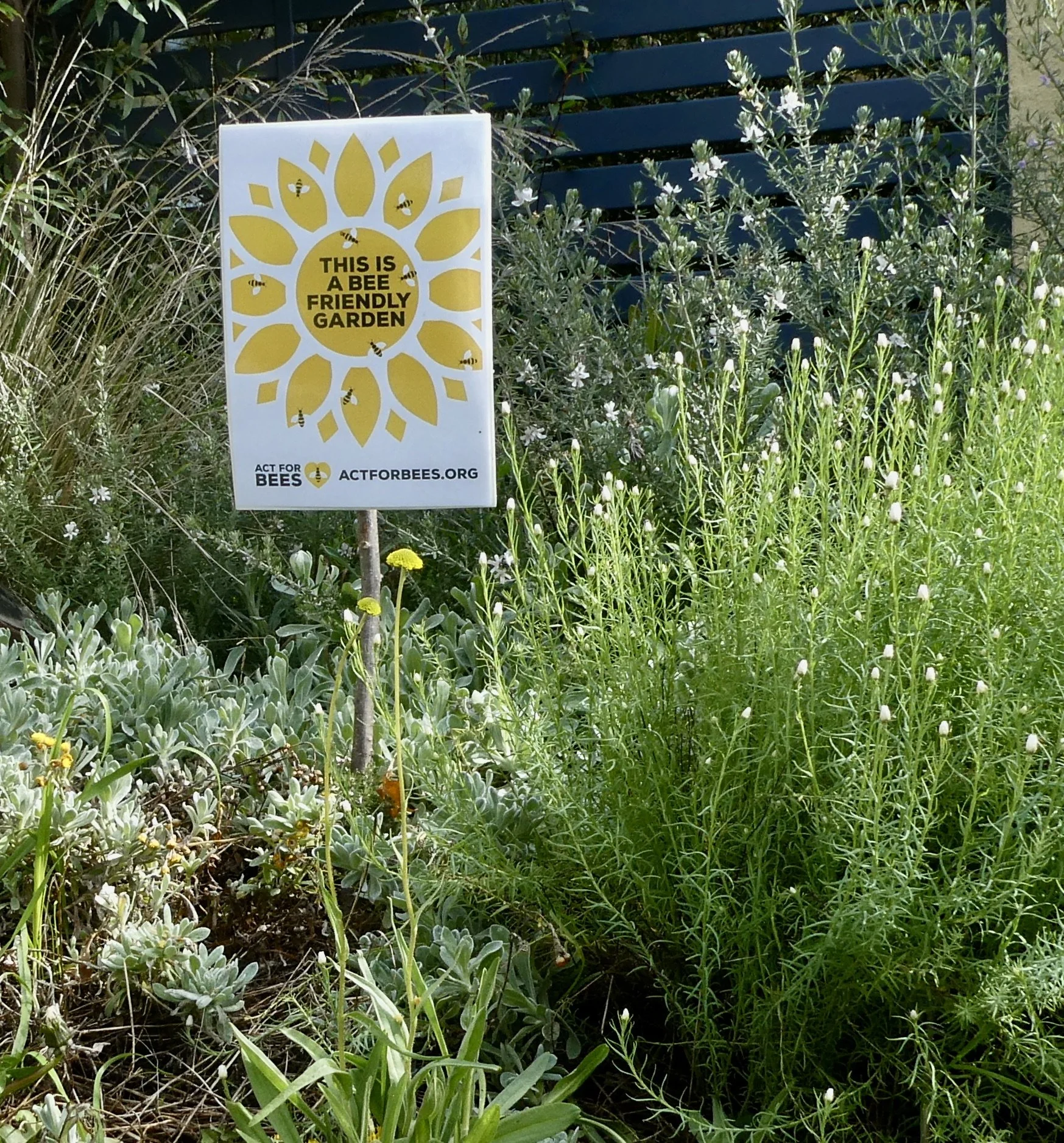 bees at home: HIVES, HABITAT &amp; FORAGE