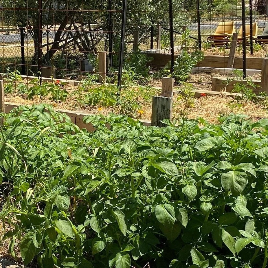 Director’s Note — May