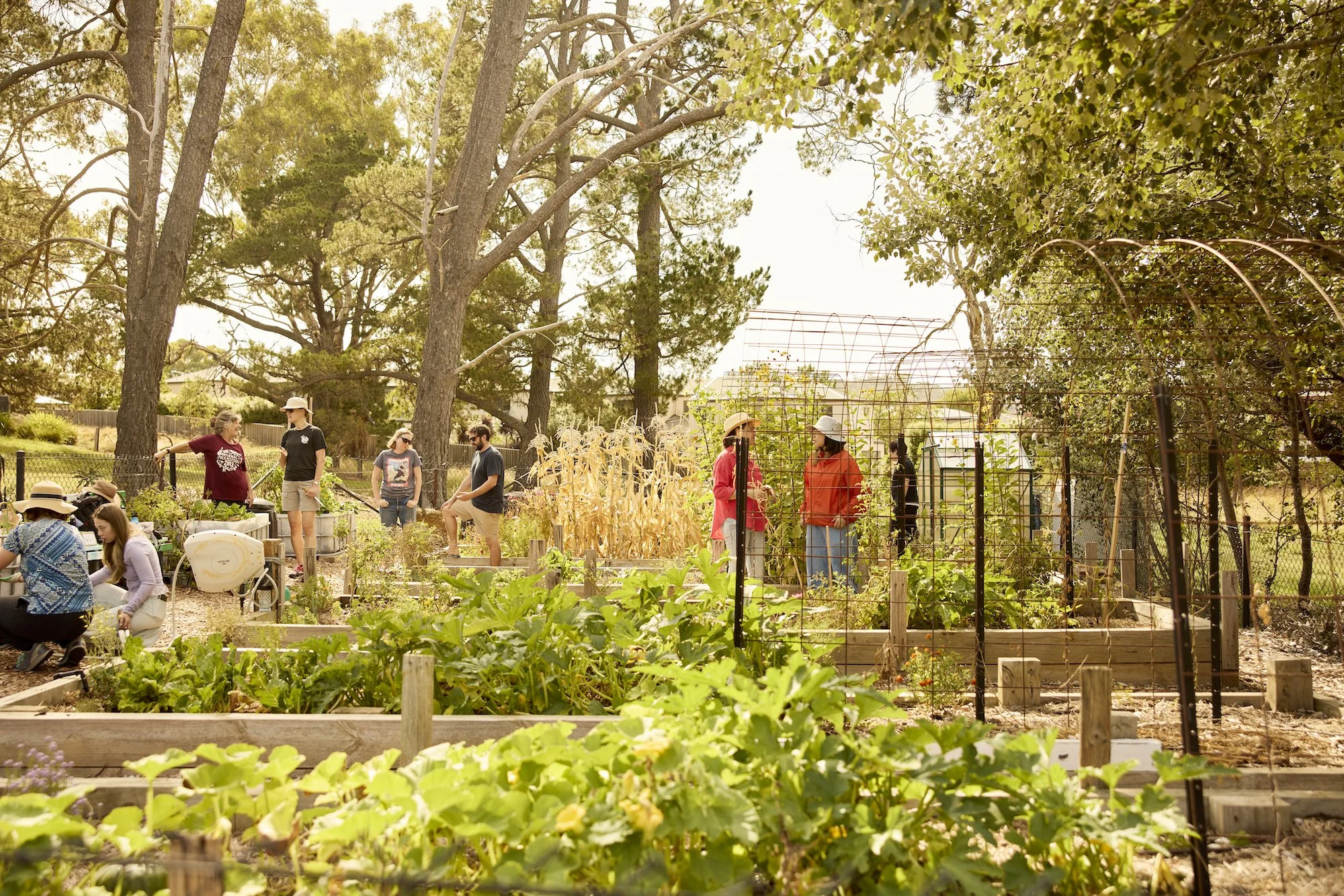 Canberra Environment Centre