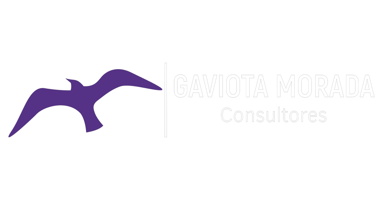 Gaviota Morada