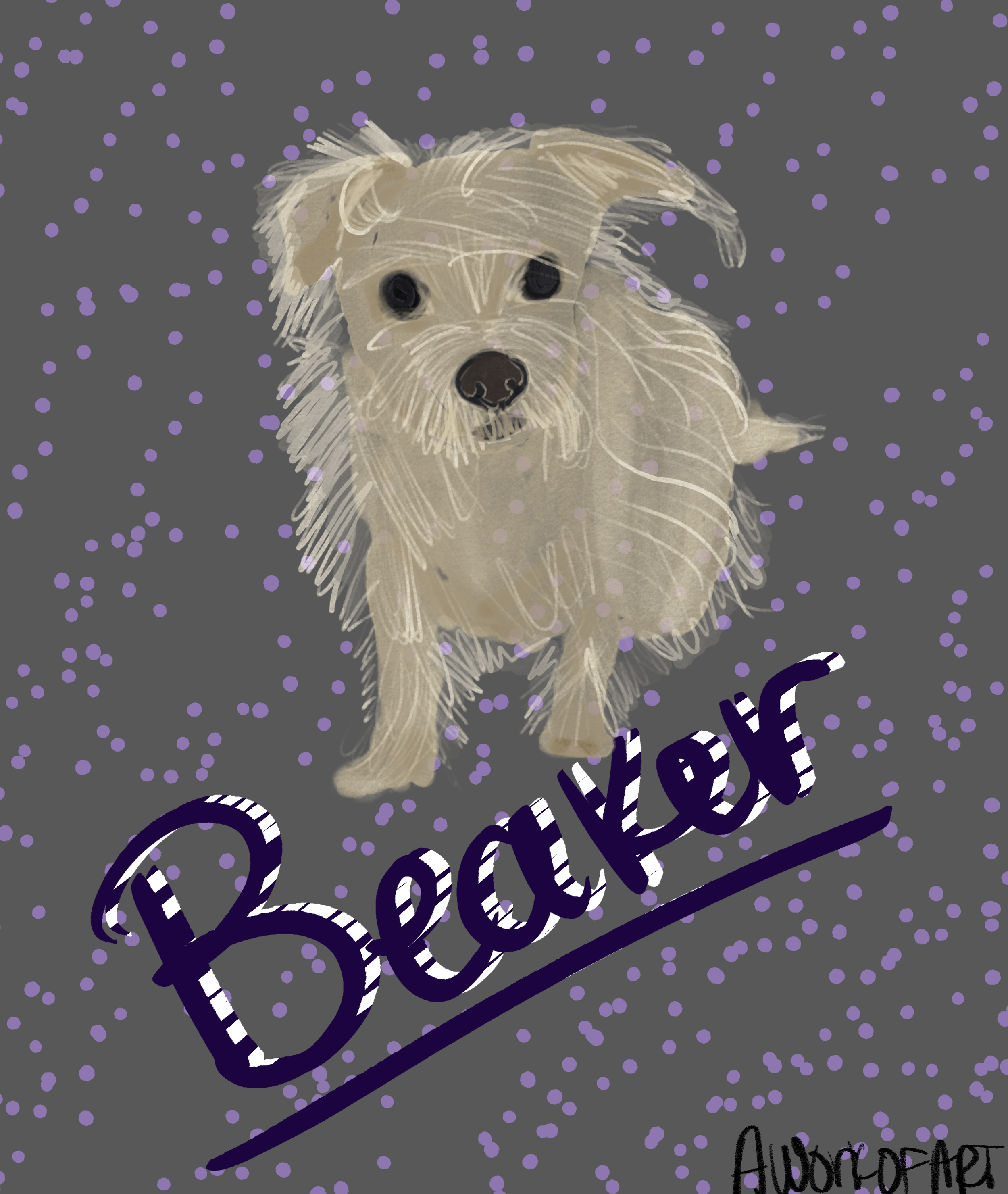 IMG_0202.PNG