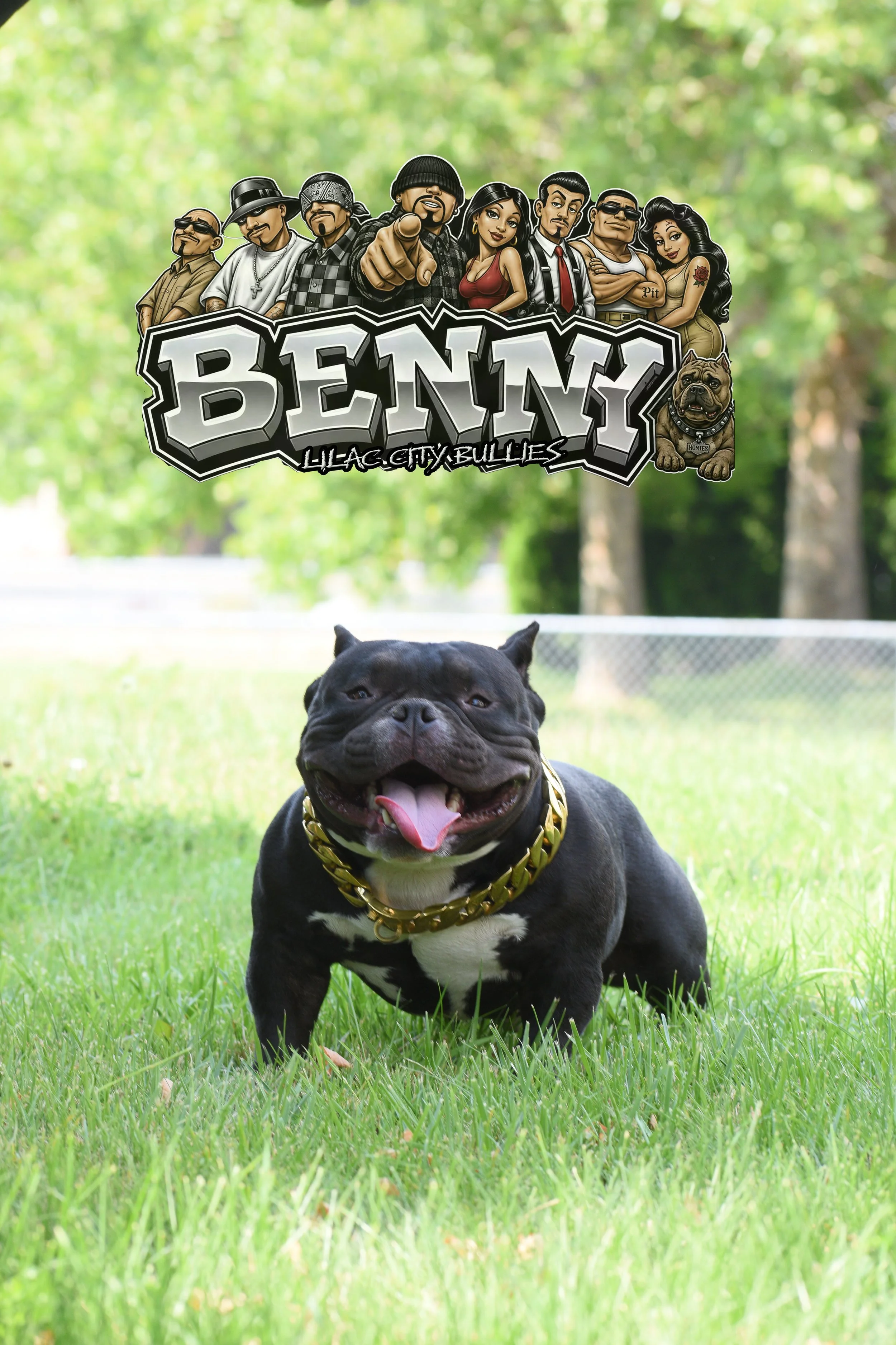 A black French Bulldog with a gold chain collar sitting on green grass. In the background, there is a colorful cartoon sticker of a diverse group of people and a dog, with the words "Benny, Lilac City Bullies." The person in the sticker is pointing outward, and the background features trees and a fence.