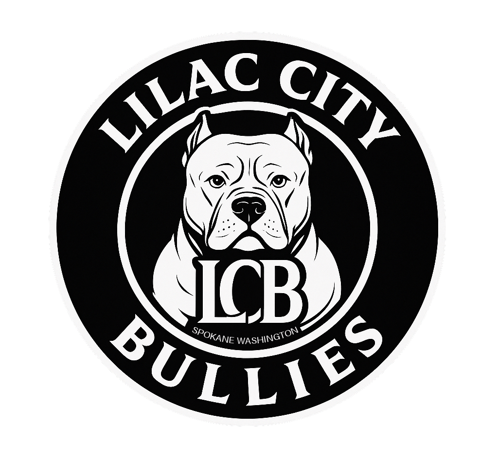 Logo with a pit bull dog illustration surrounded by text that reads "LILAC CITY BULLIES" and "Spokane Washington," with the initials "LCB" in the center.