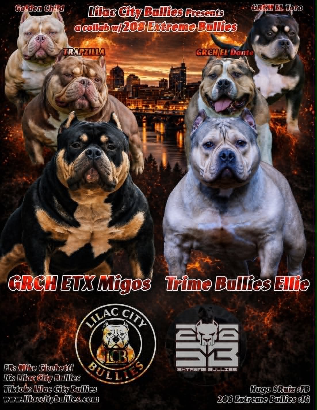 city skyline background at sunset, promoting Lilac City Bullies and 208 Extreme Bullies, highlighting a collaboration between the two. Each bulldog has a name label, and there are logos for Lilac City Bullies and 208 Extreme Bullies at the bottom.