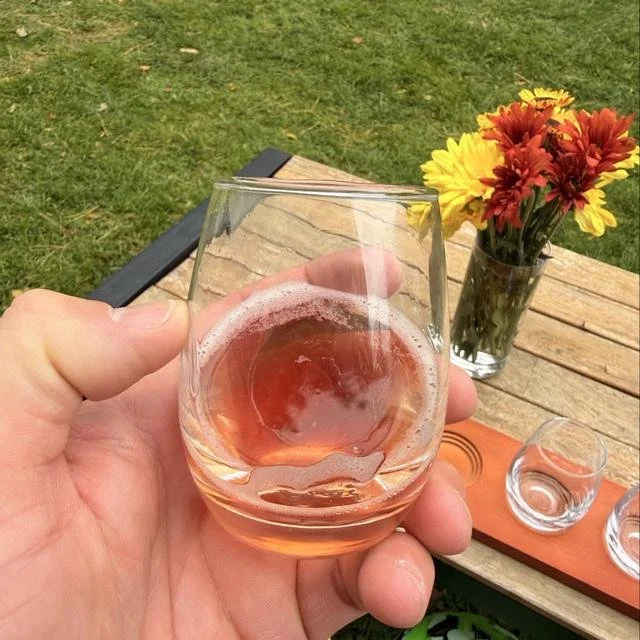 Idiot Brothers are Anything But!