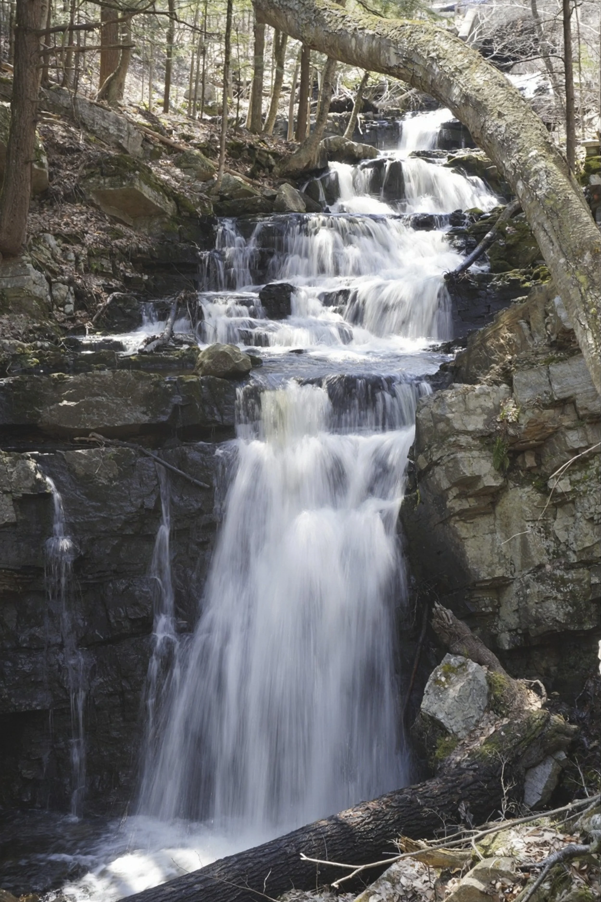 The Finger Lakes Trail is Right at your Doorstep…
