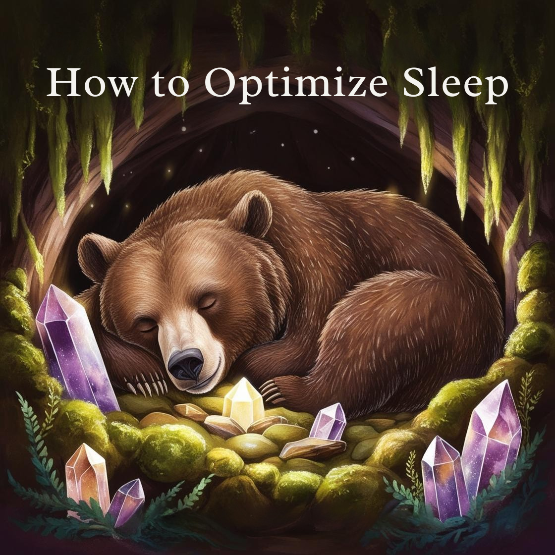 How to Optimize Sleep course cover.png