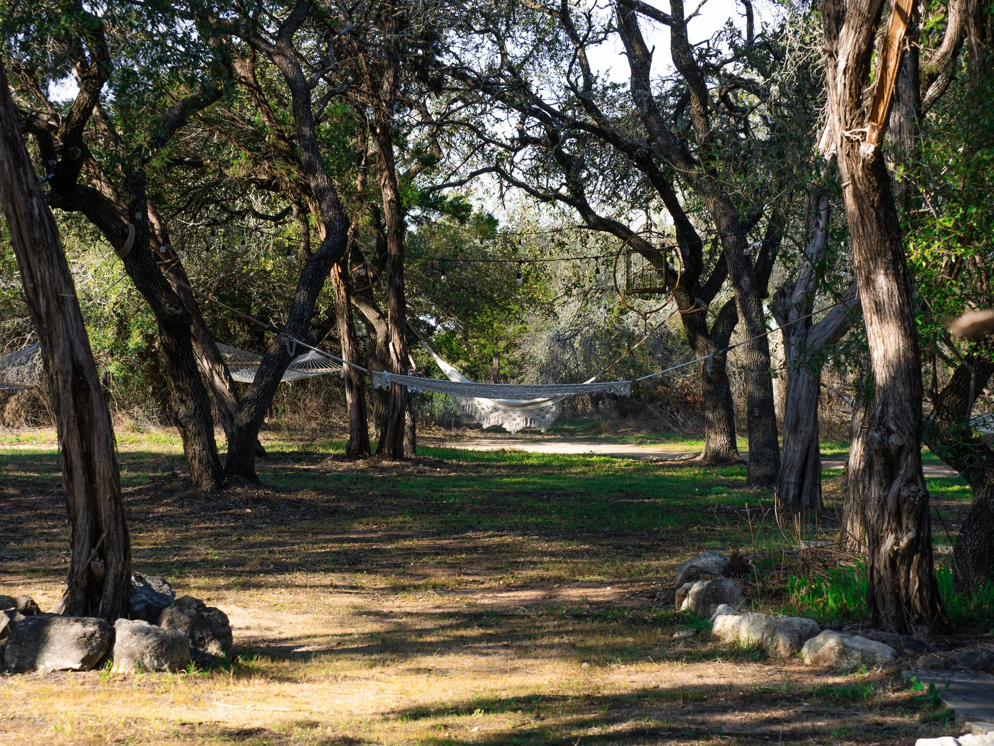 A hammock tied between trees in a wooded area with patches of sunlight on the ground.