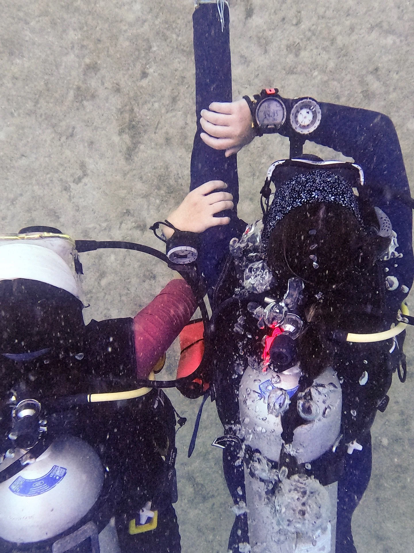 Congratulations to our new PADI Advanced Open Water Divers @kaiti.thome and @iaracarrero 🎉 

Kaiti &amp; Iara chose Peak Performance Buoyancy, Wreck and Night for their elective dives and advanced their diving skills, staying calm and controlled in 