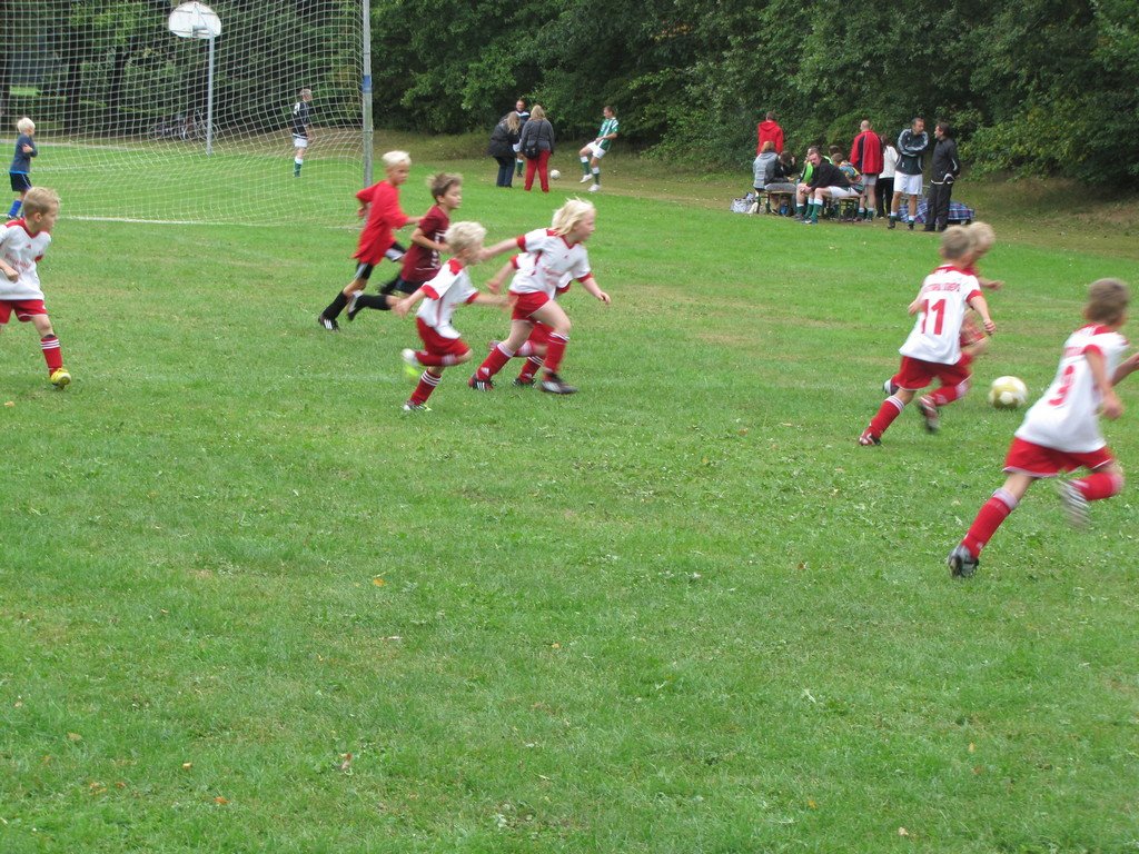 IMG_7437.jpg