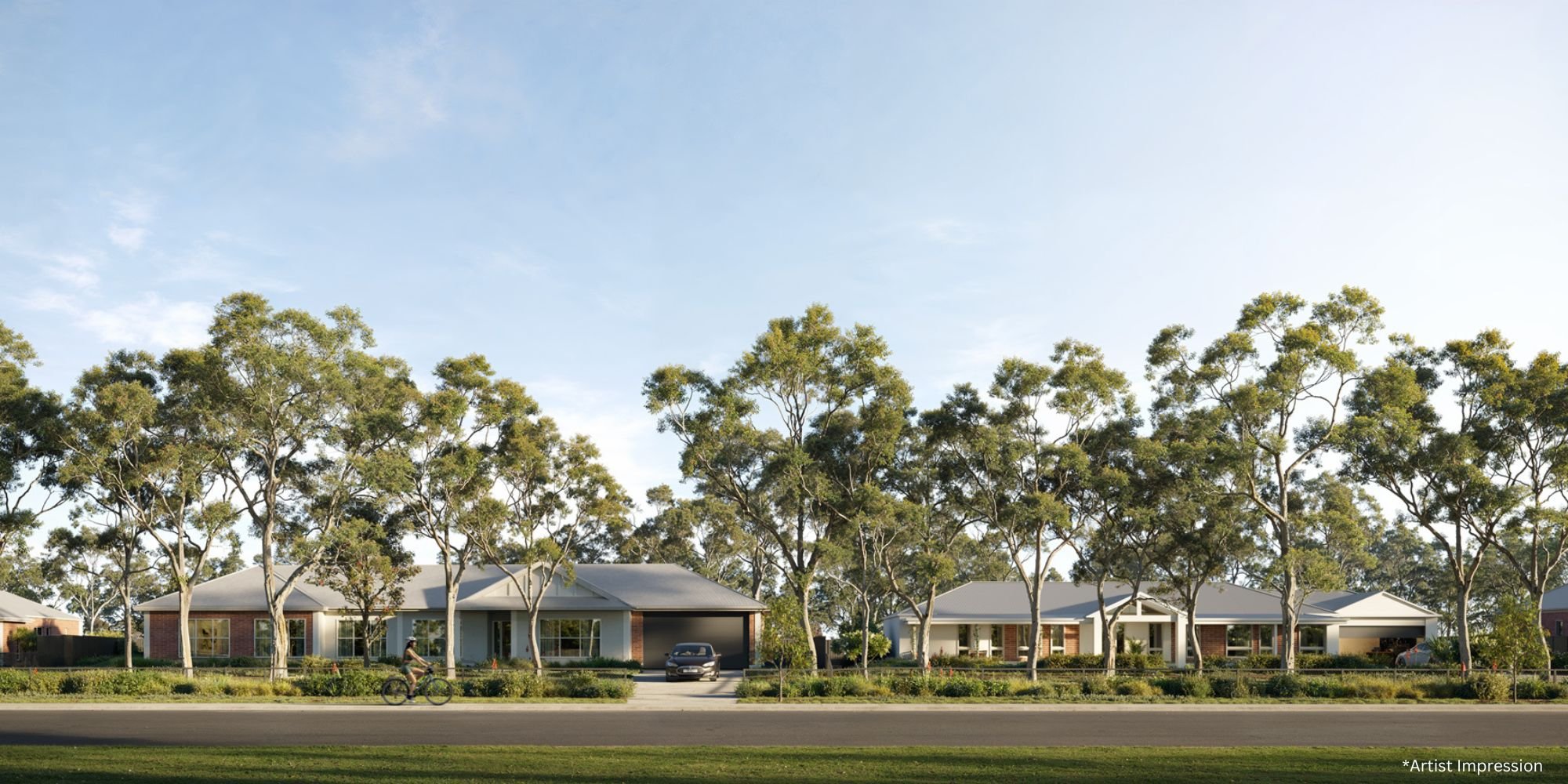 Eucalypt Release - Elevation.jpg