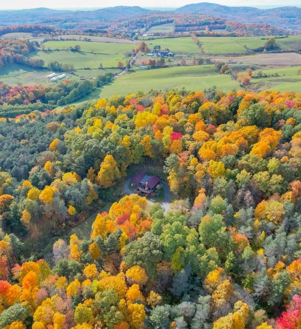 Sowilo Foliage.jpeg