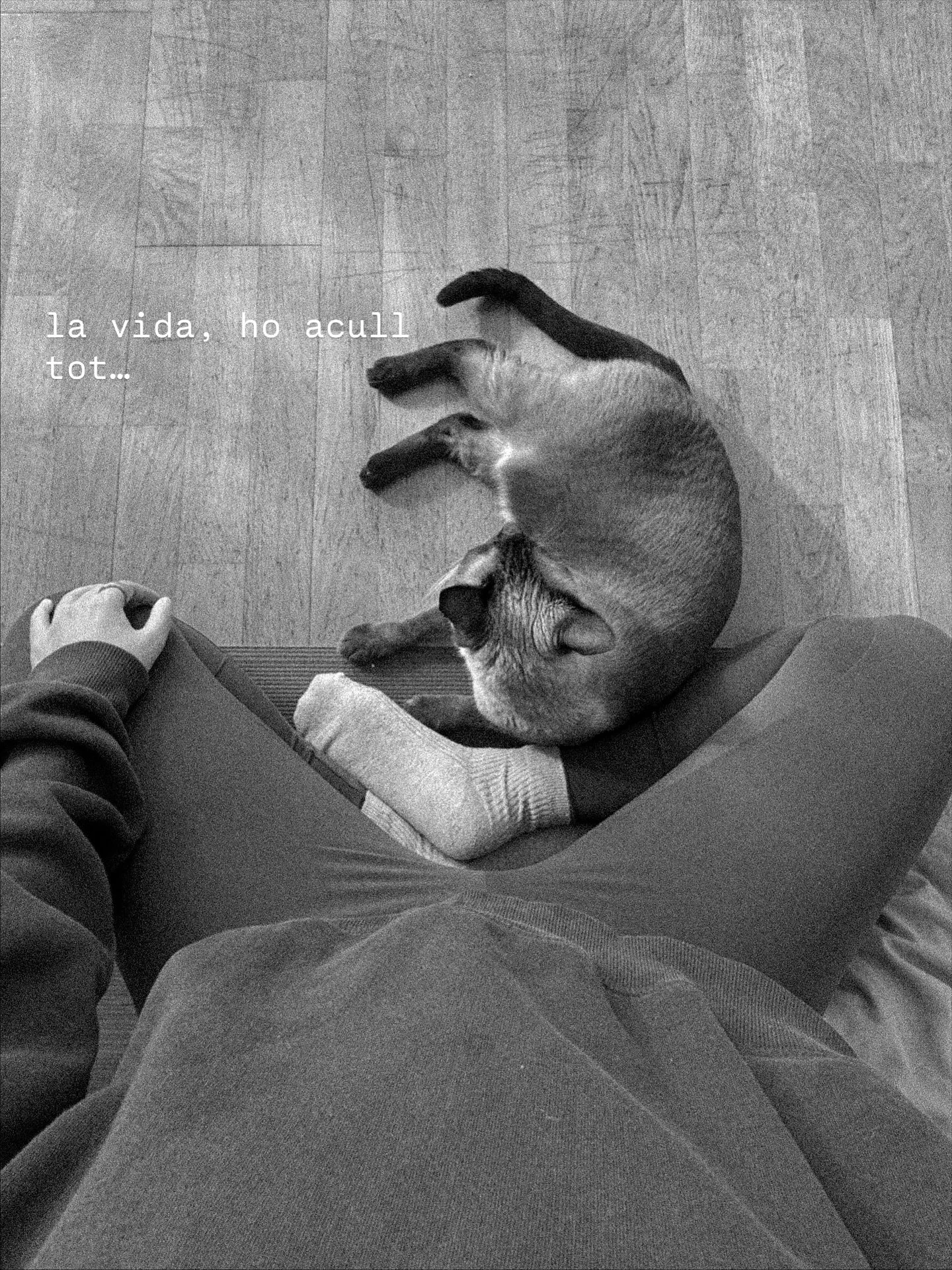 un mix d&rsquo;aquesta setmana. 
 
el regal:
- de meditar
- d&rsquo;una posta de sol
- de cantar al cotxe
- d&rsquo;una taula plena de gent que estimes
- de treballar des del llit
- de contemplar la naturalesa
- del caliu d&rsquo;una llar de foc
- de