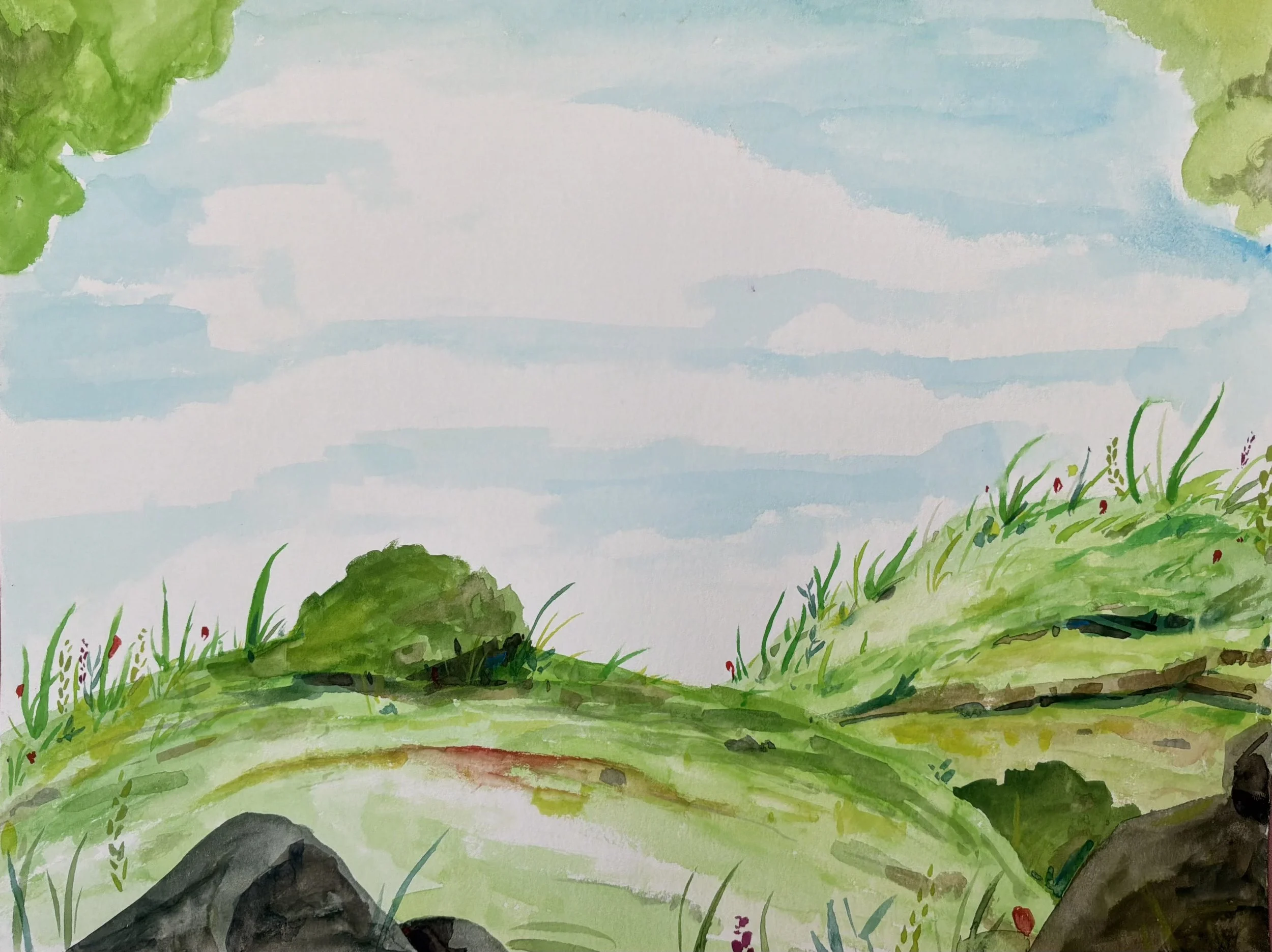 Animation
