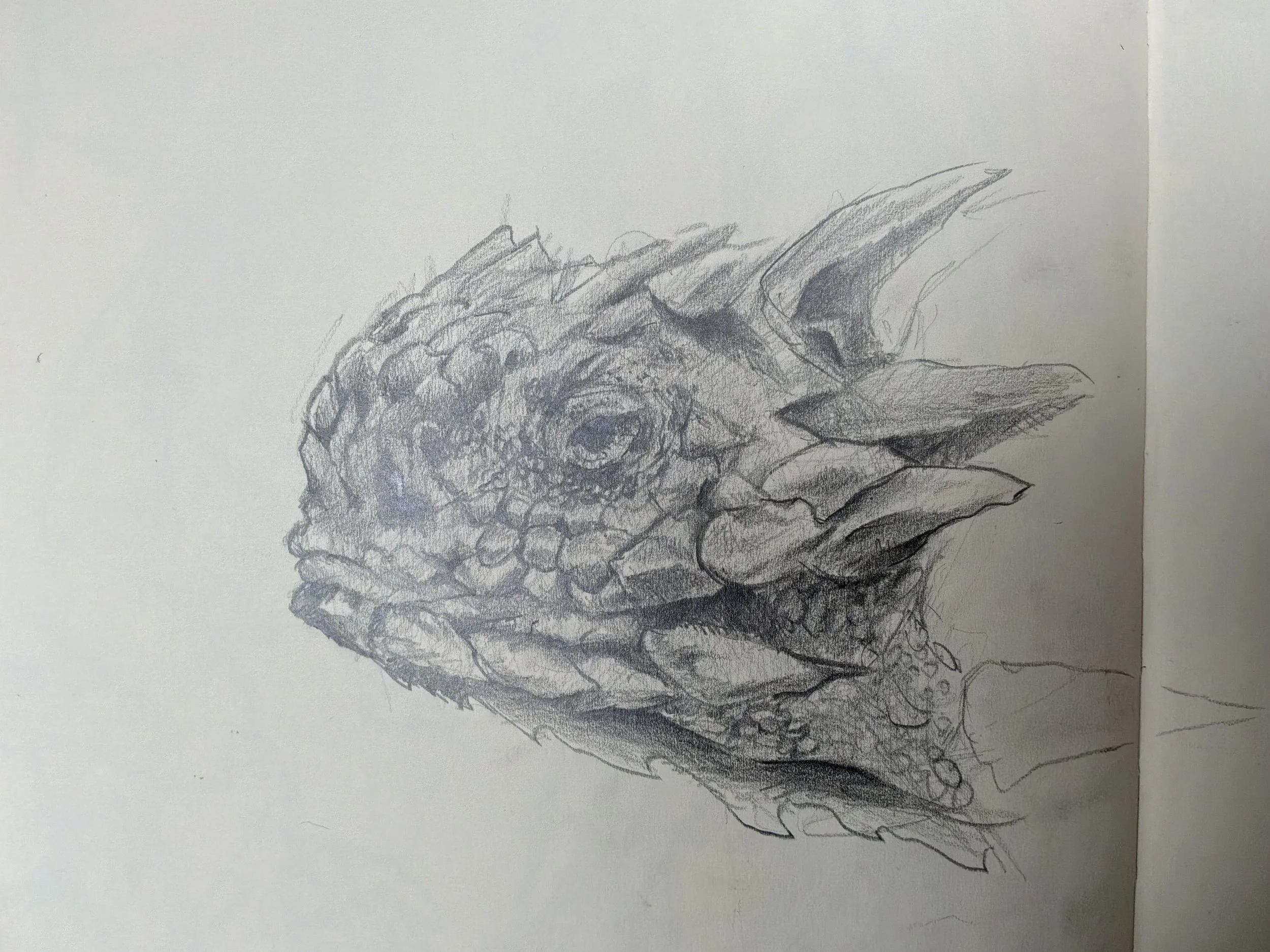 IMG_0060.jpeg